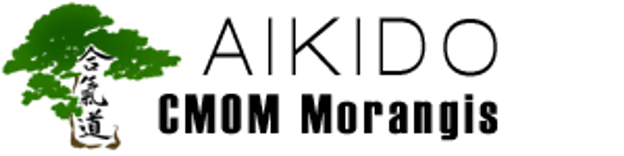 Cmom Aikido
