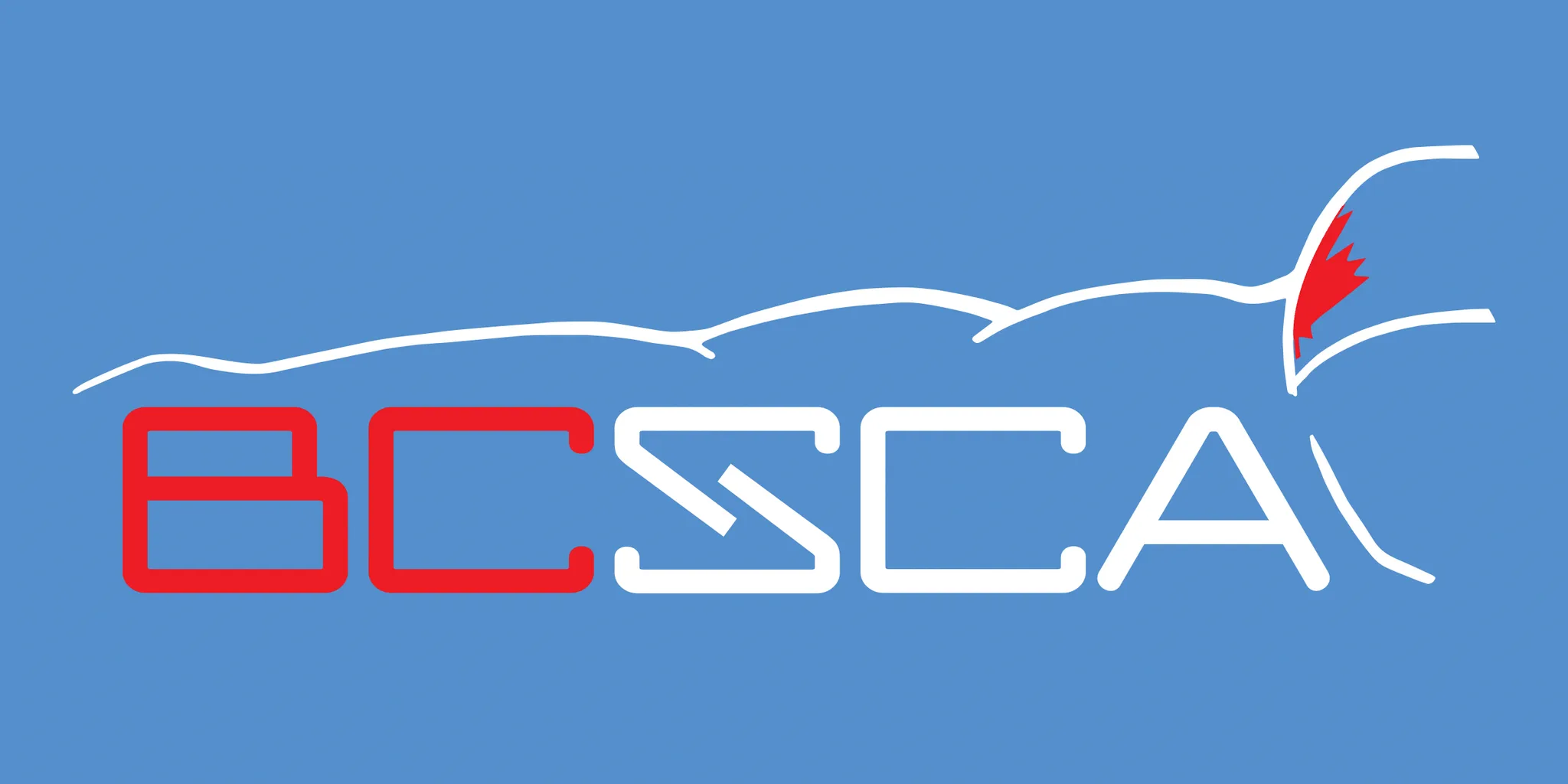 BC Swim Coaches Association