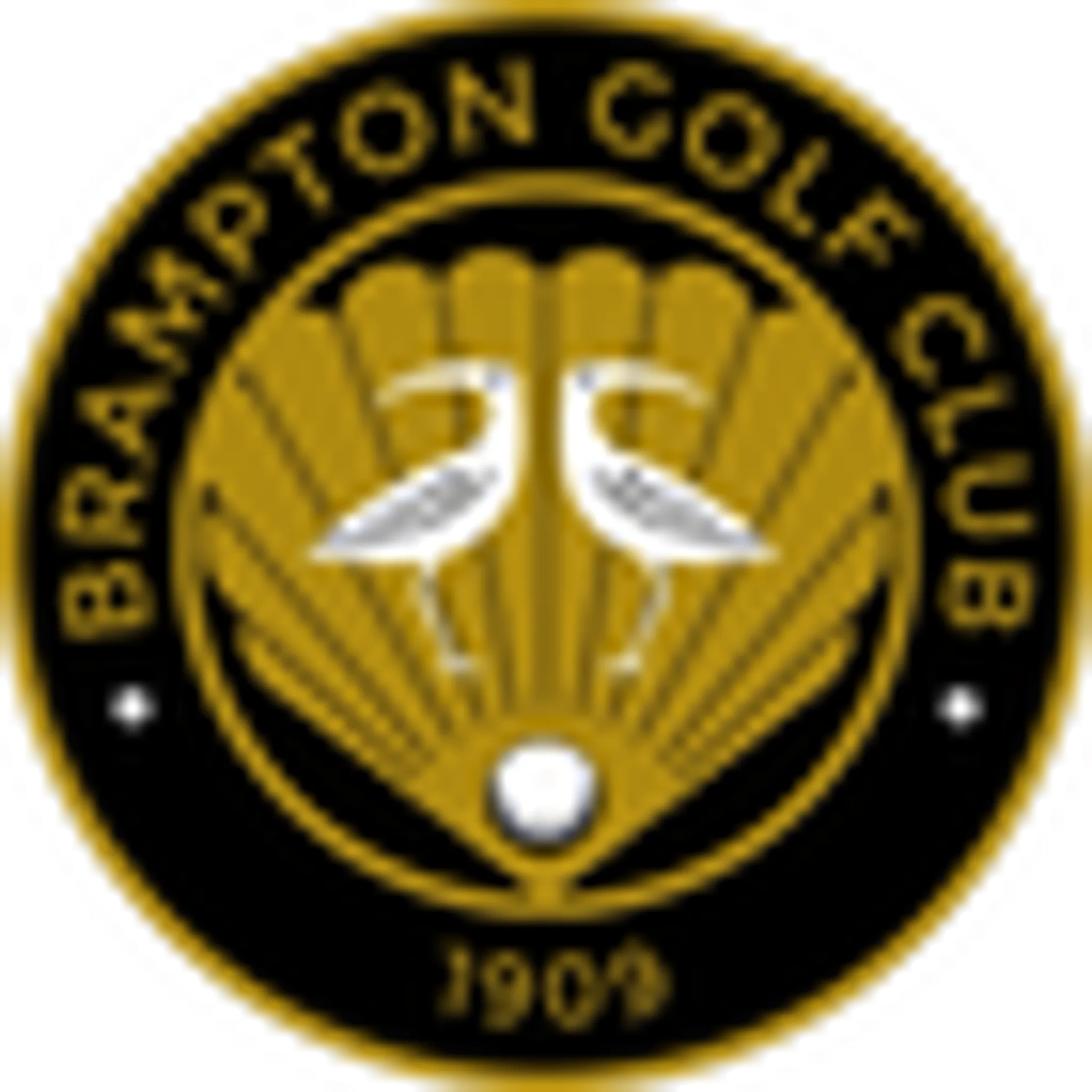 Eden Valley Mixed Golf Tournament