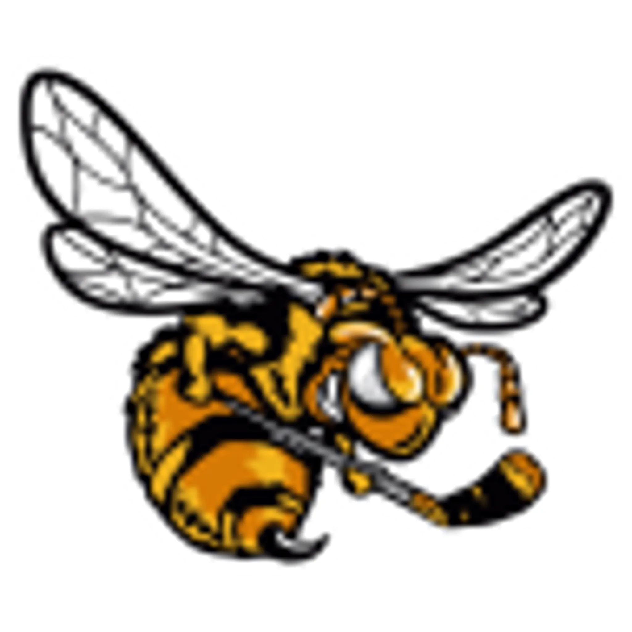 Alvinston Killer Bees Senior Hockey Club