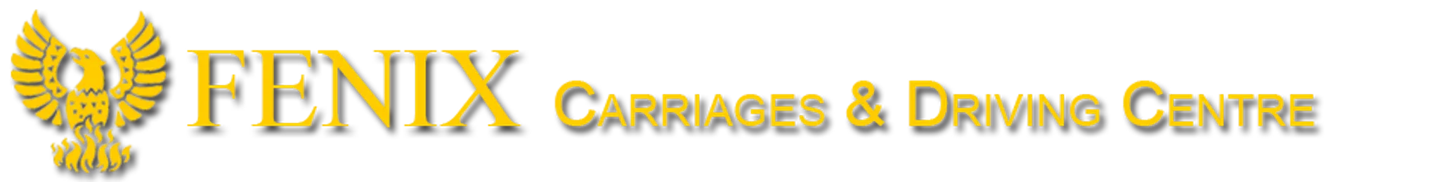 Fenix Carriage Driving Centre