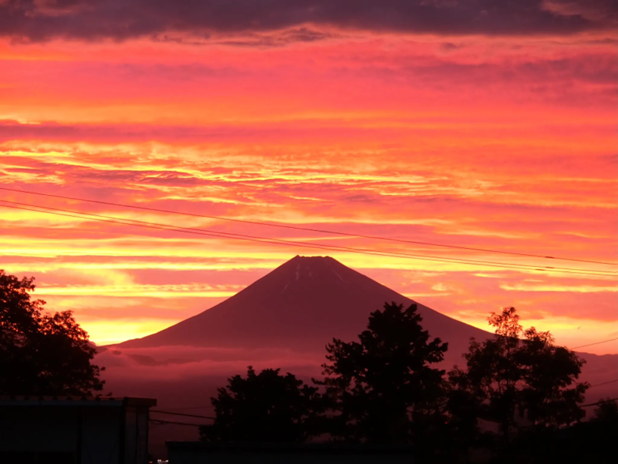 Young Tigers - Enfield Karate Club for Children