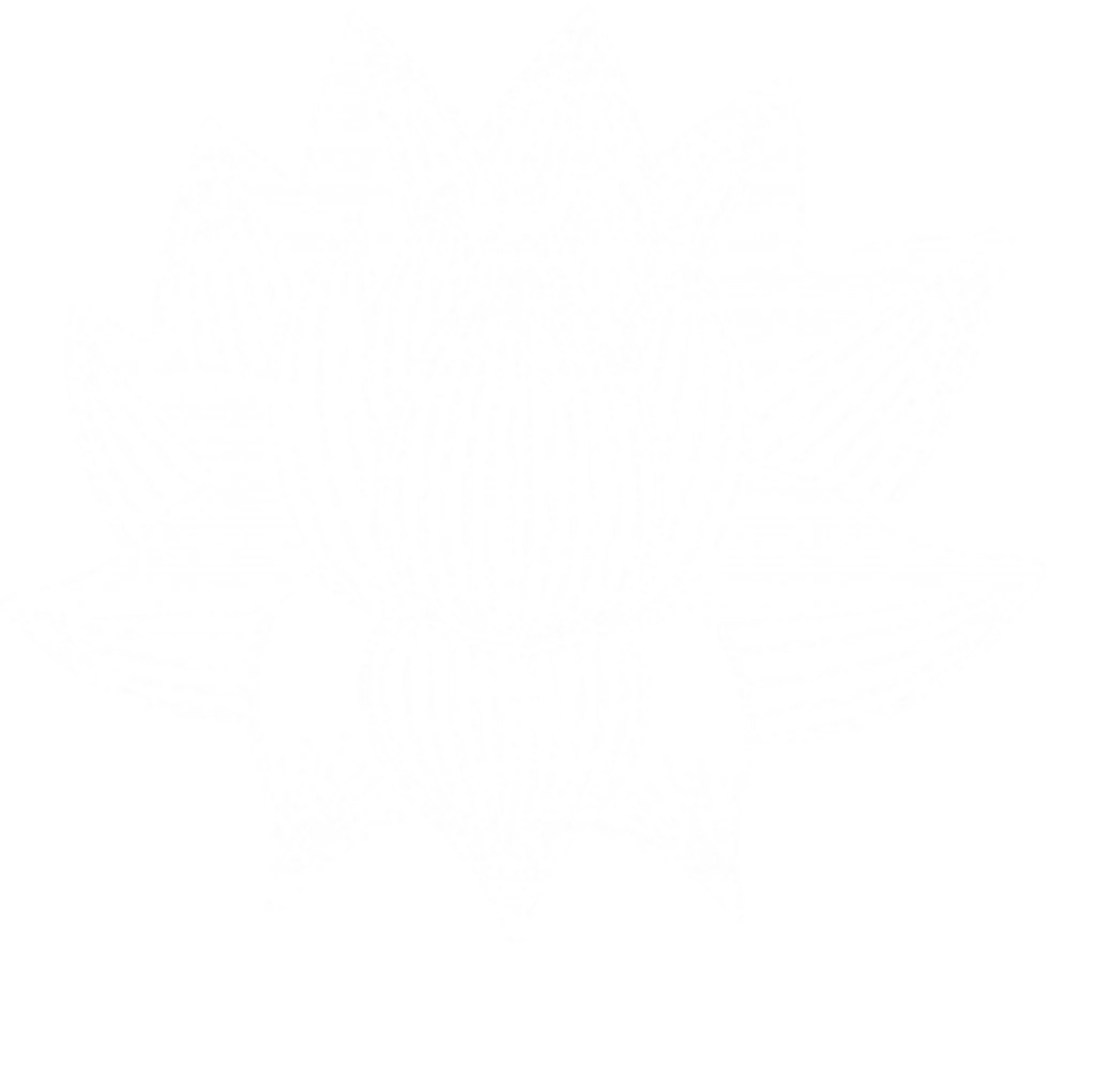 Qi Gong / Tai Chi Chuan