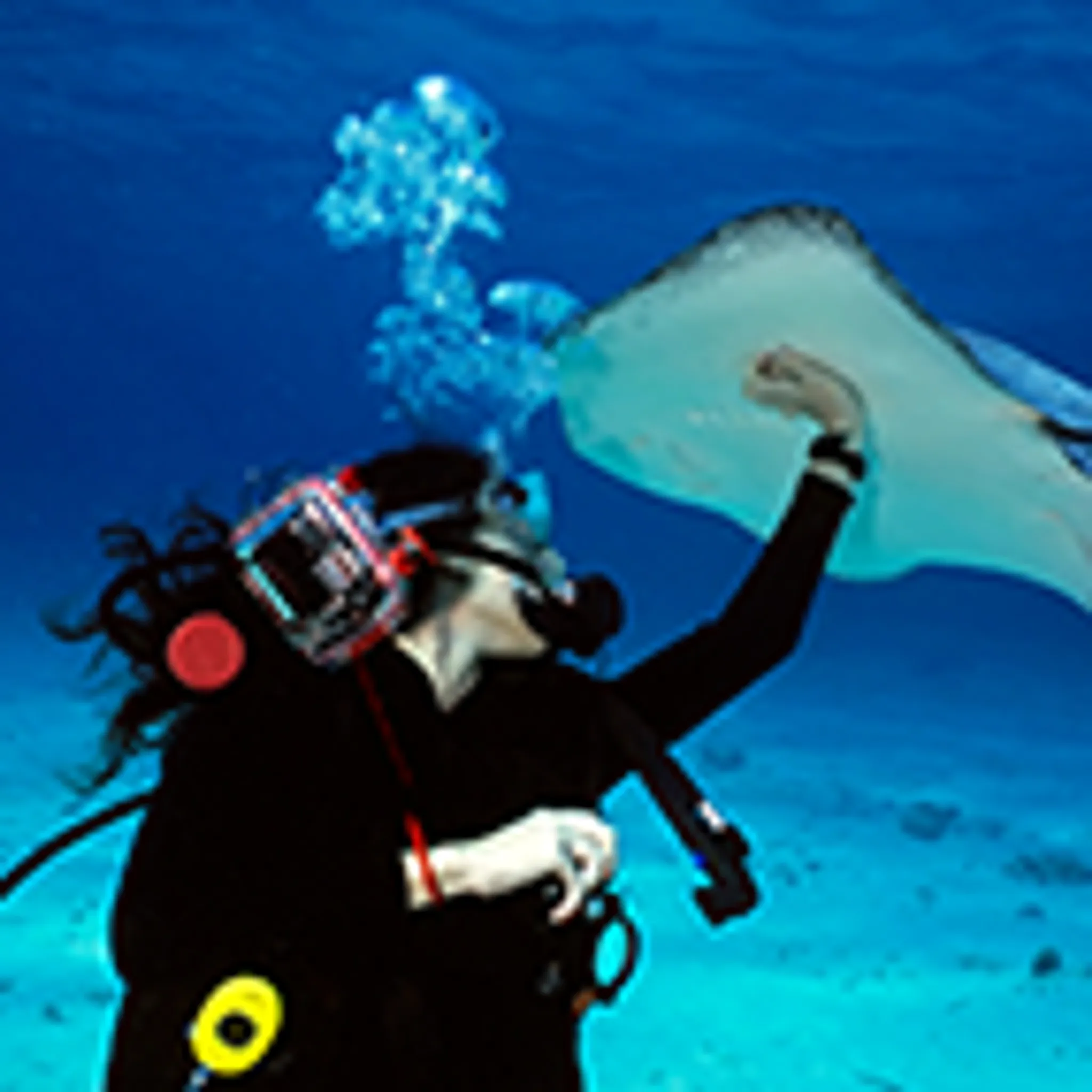 Grand Cayman Island Tours