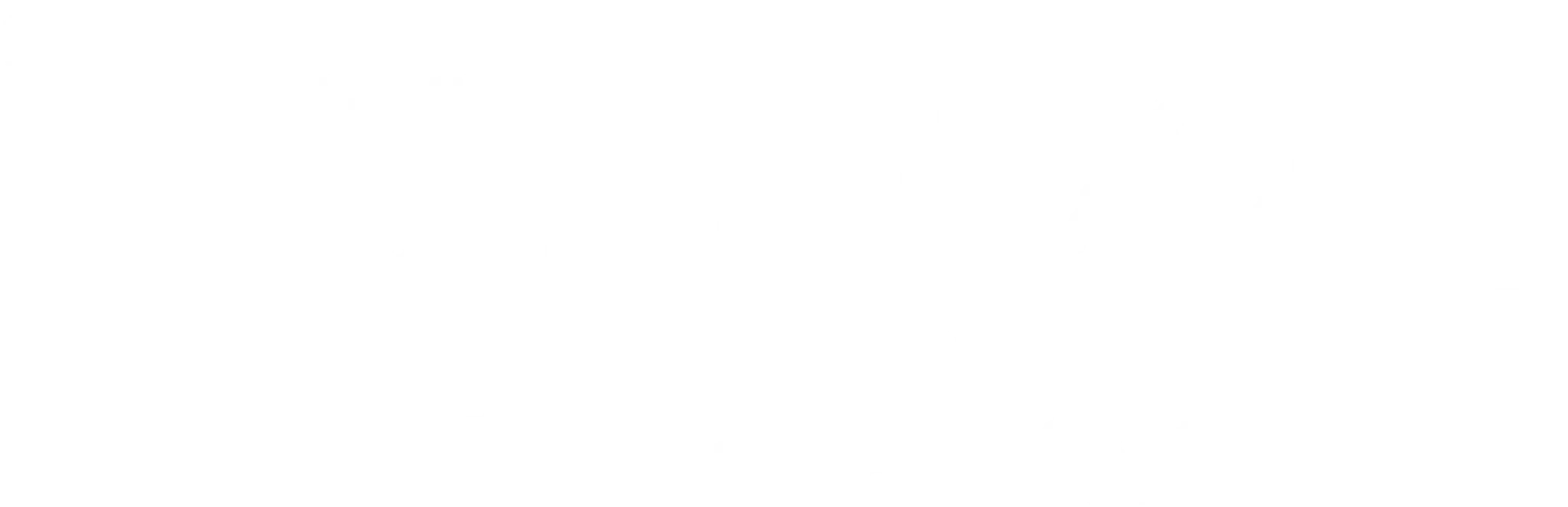 Wild Roots Dance & Yoga