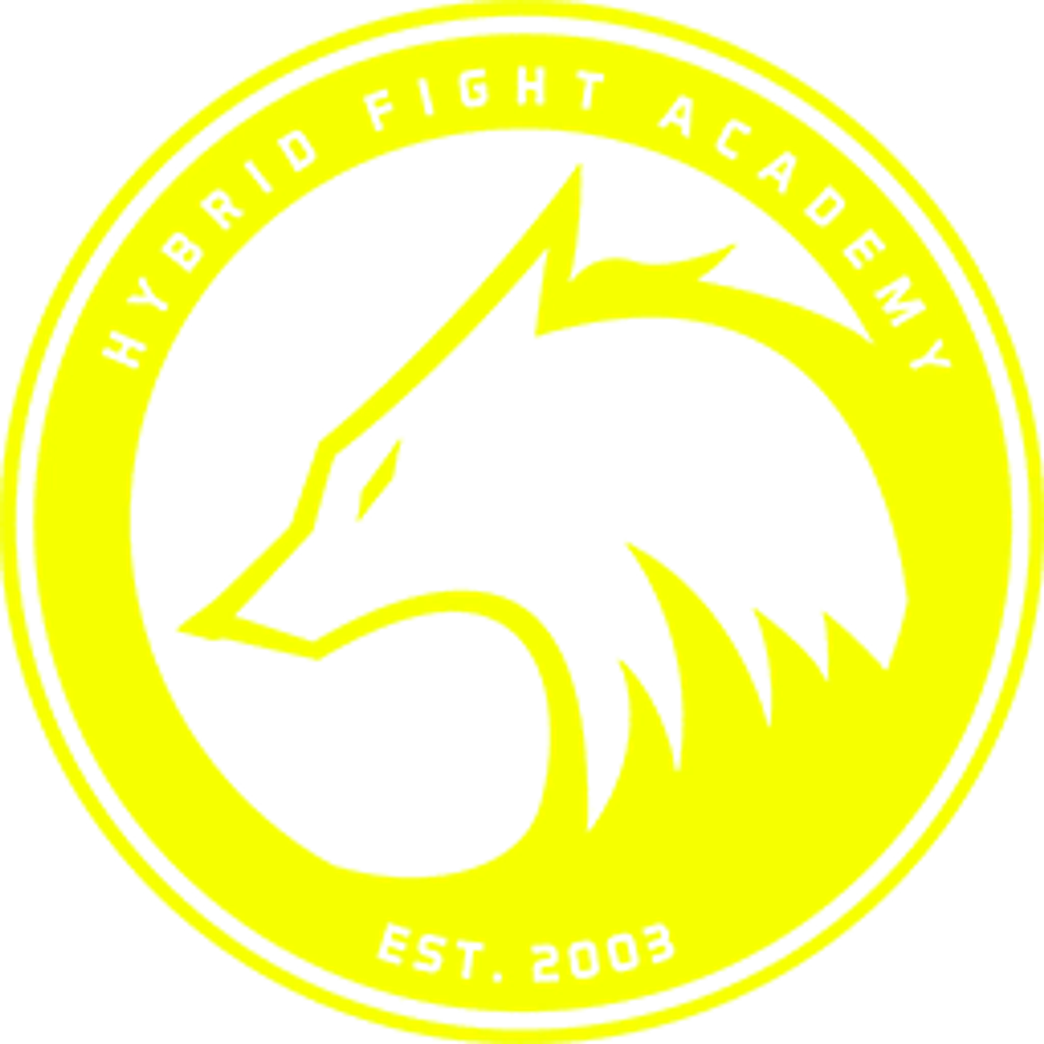 Hybrid Fight Academy