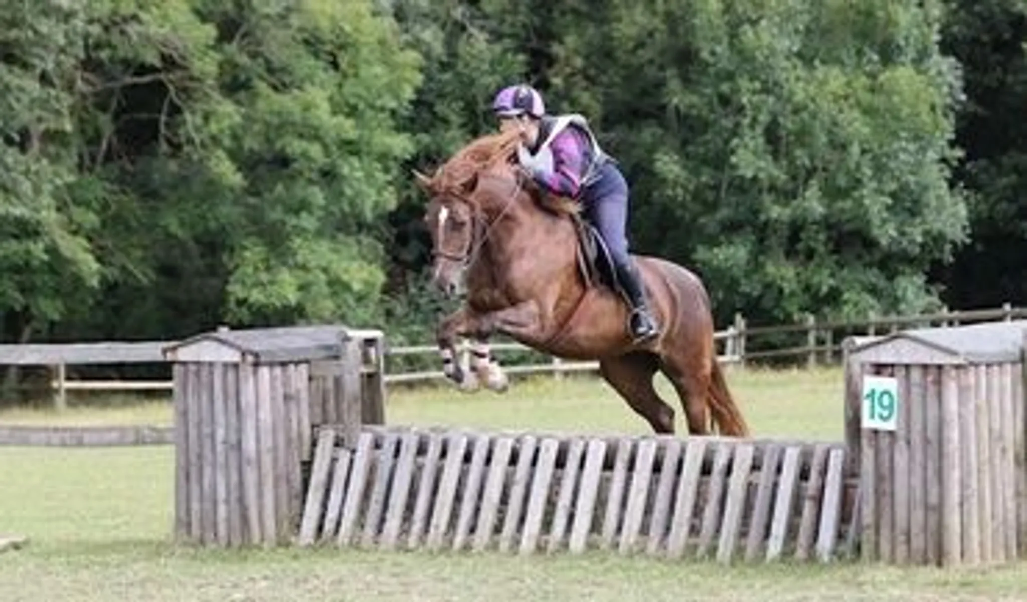 Hall Place Equestrian Centre