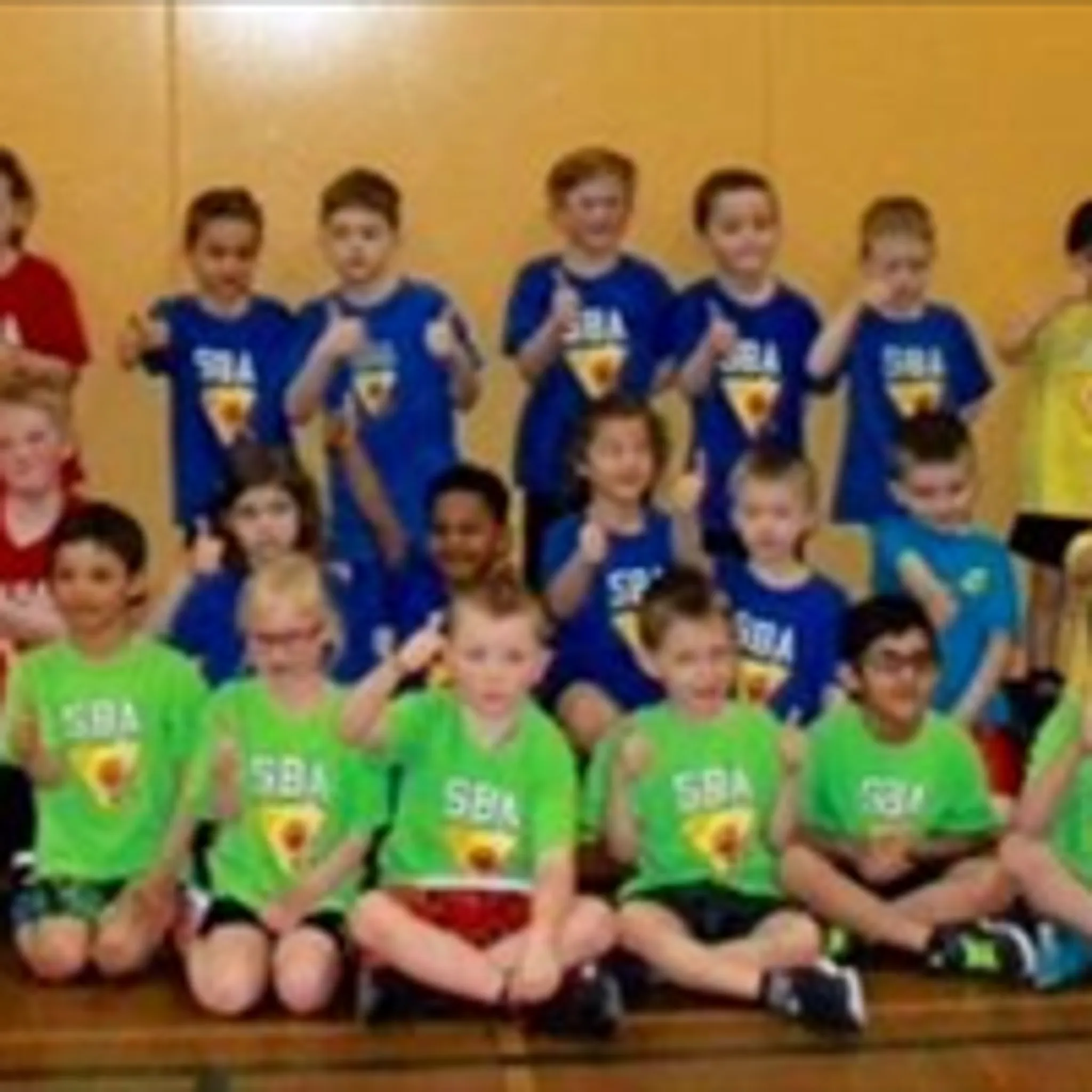 Strathcona Basketball Association