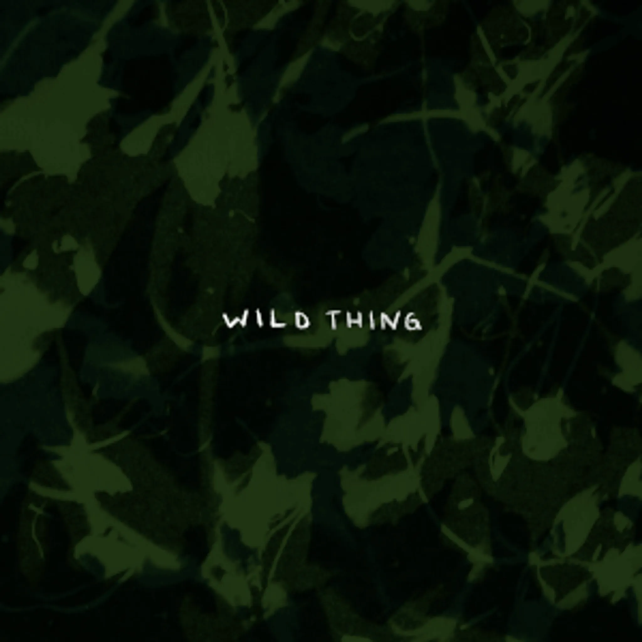 Studio A - Academy of Performing Arts