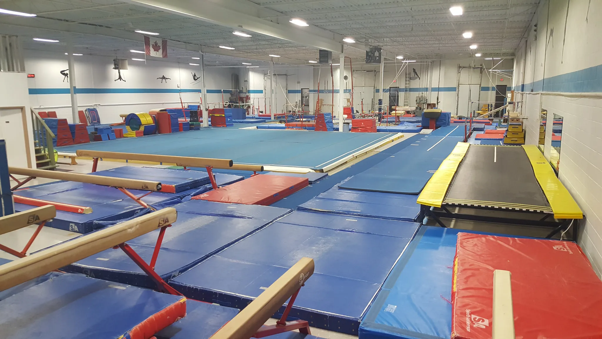 Summer Gymnastics Camp 2024