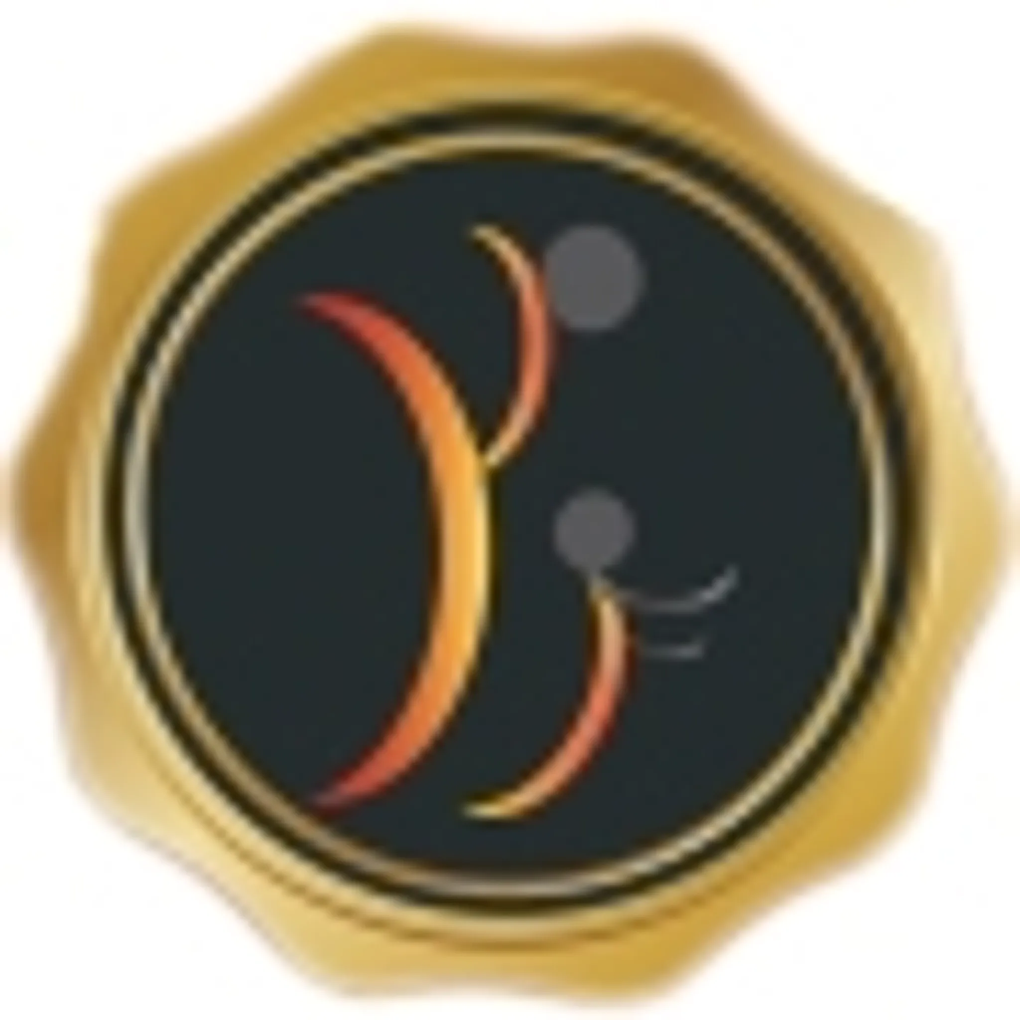 Premier Fitness and Martial Arts