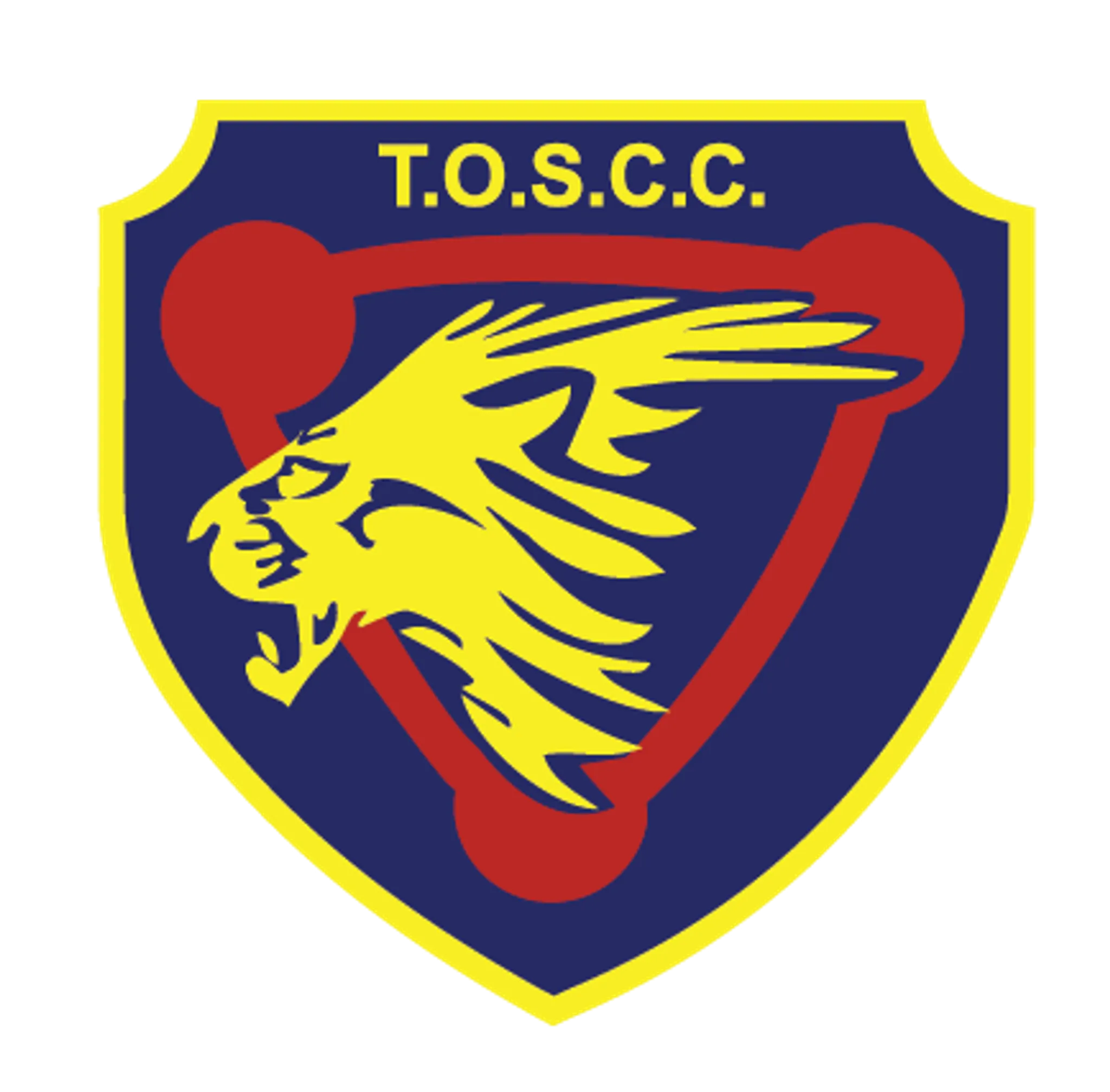 Trinity Old Scholars Cricket Club