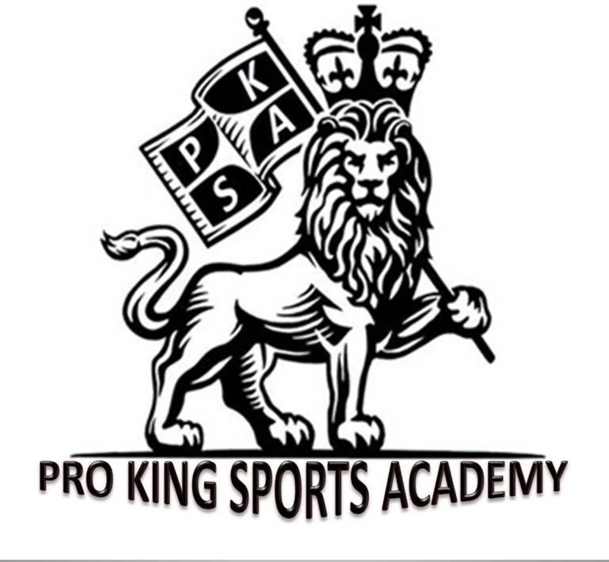 Pro King Cricket Academy