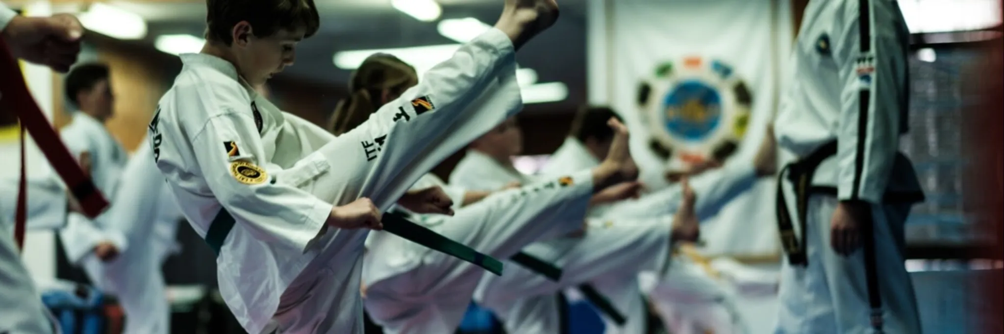 Mat Monkey's Jiu-Jitsu