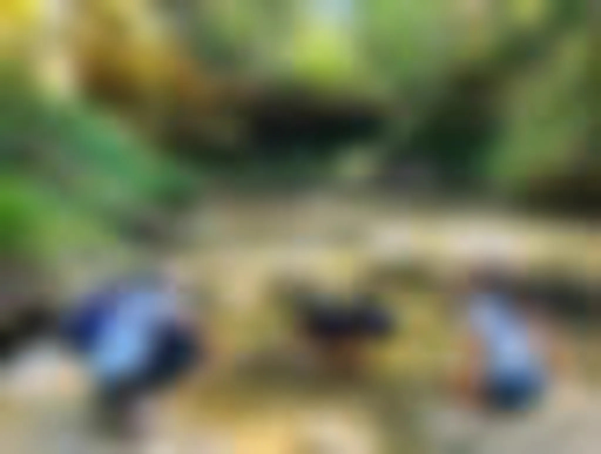 Coach Sportif - Damien Iarussi - Diplômé d'Etat