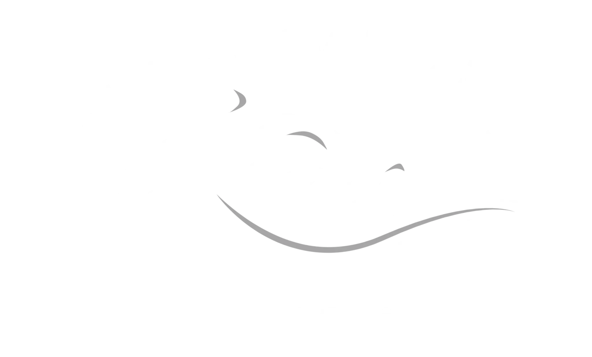 Run Away Racing