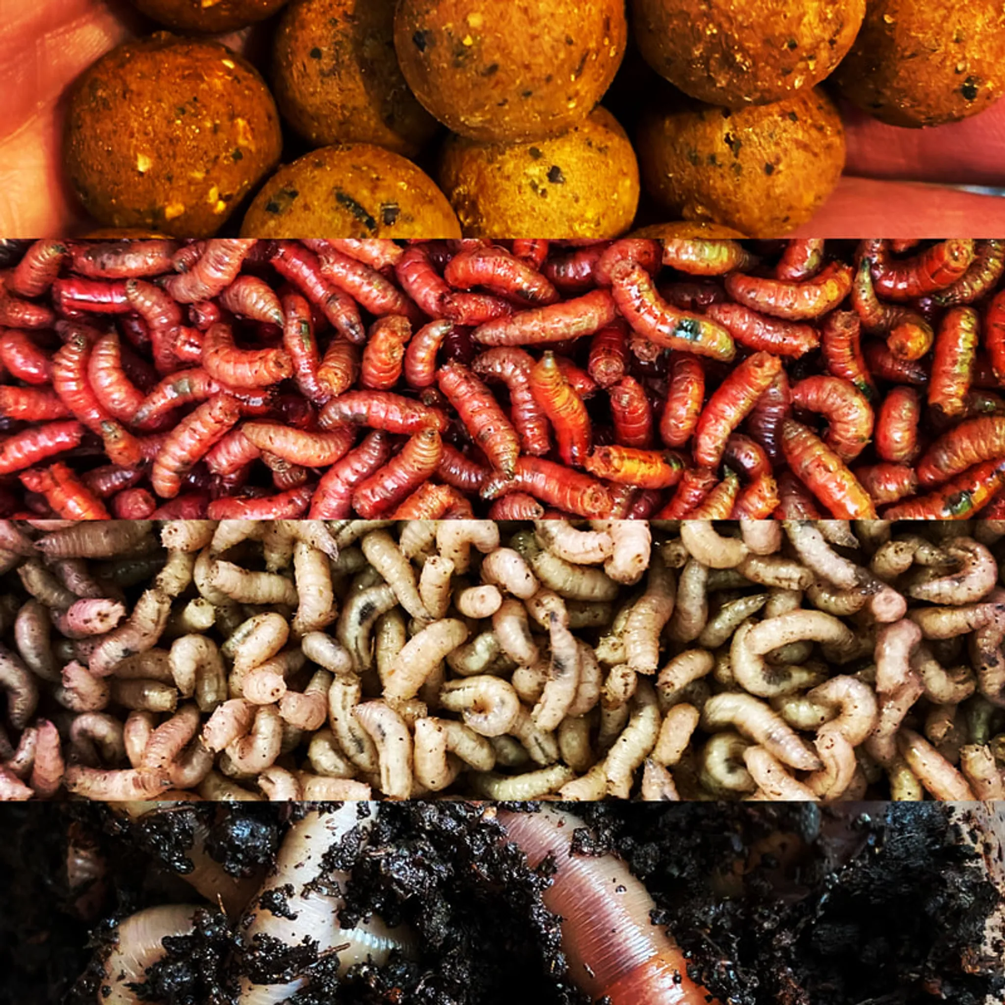 Goodrich Court Fishery