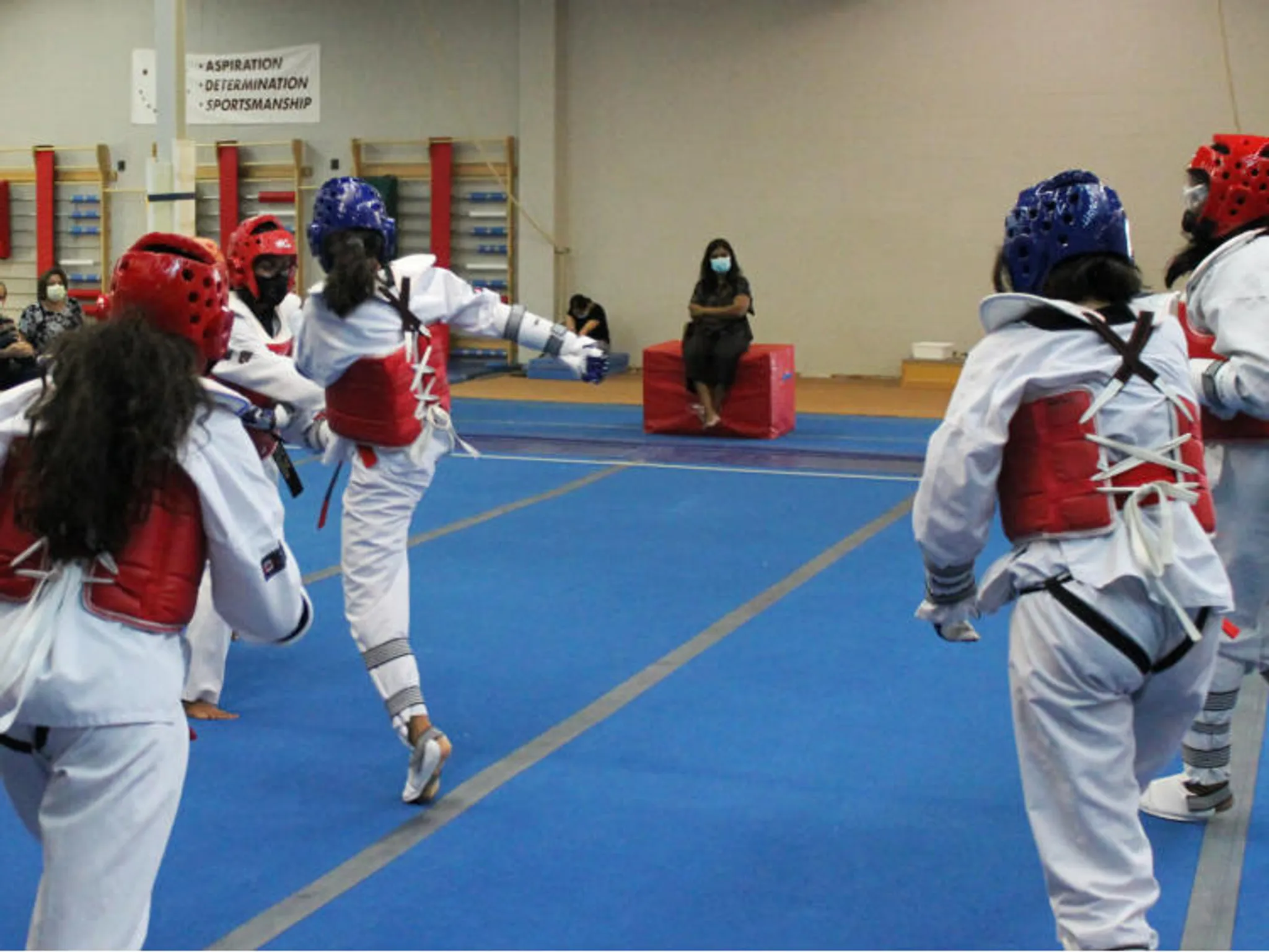 Seneca Taekwondo