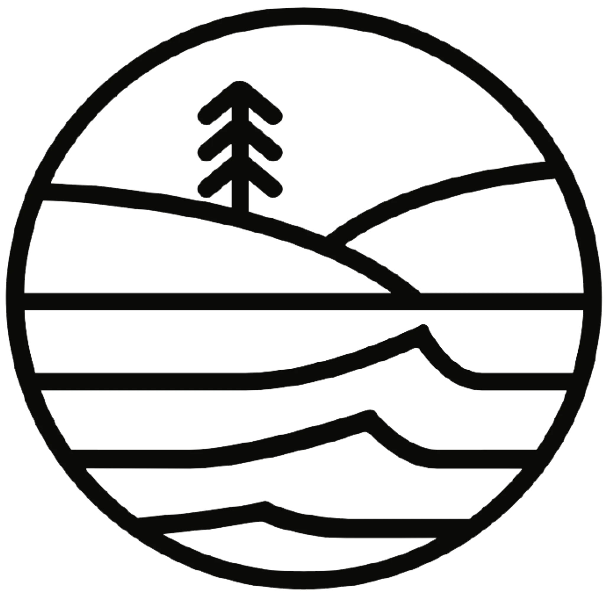 Westcountry Surf School