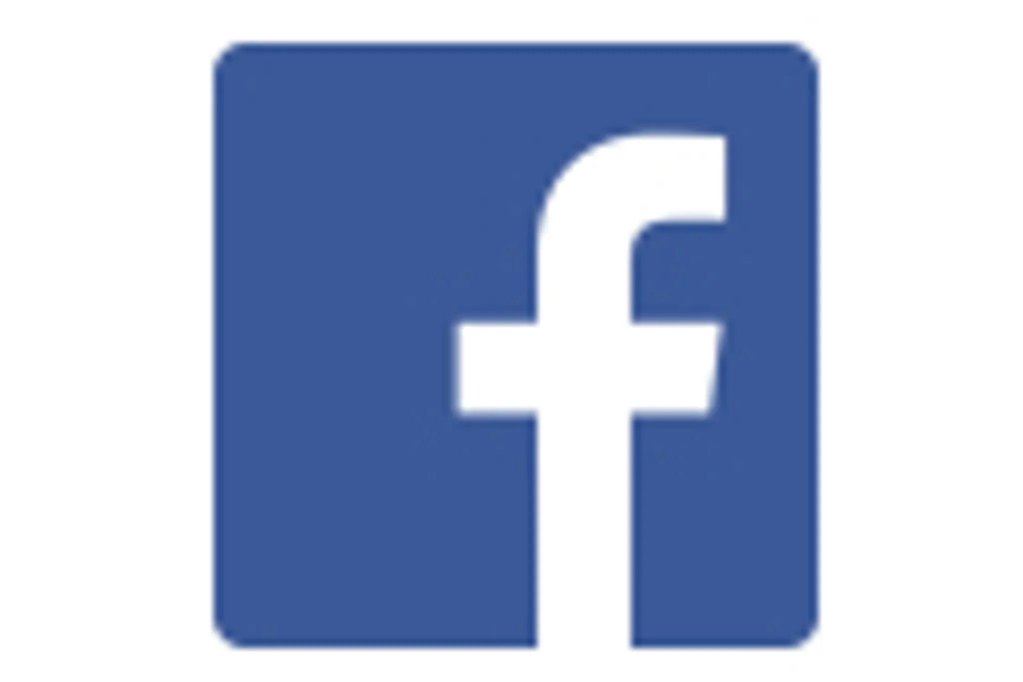 Horse Riding Warkworth Auckland