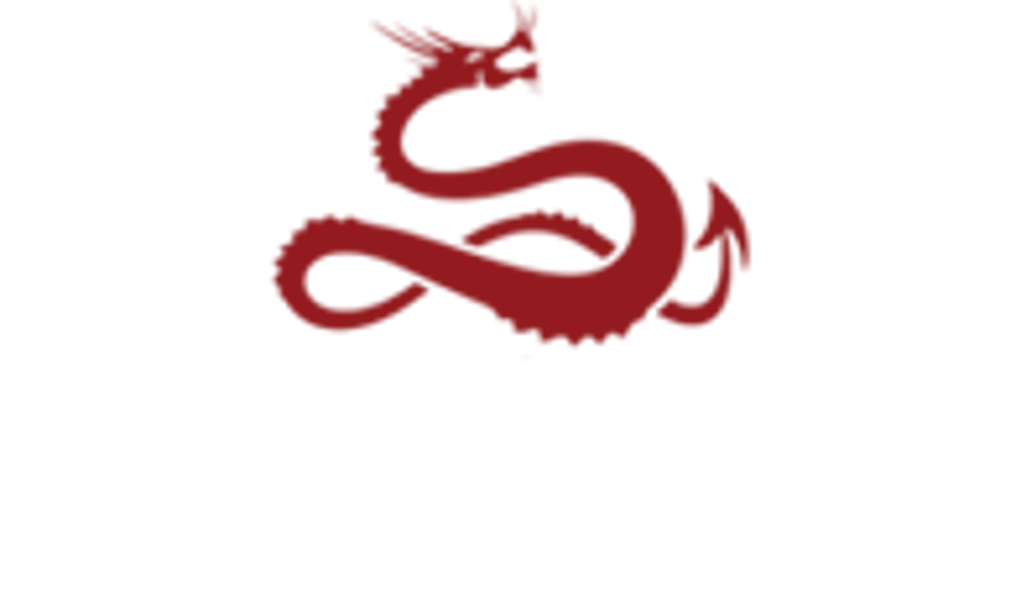 Dragon Freestyle Kickboxing