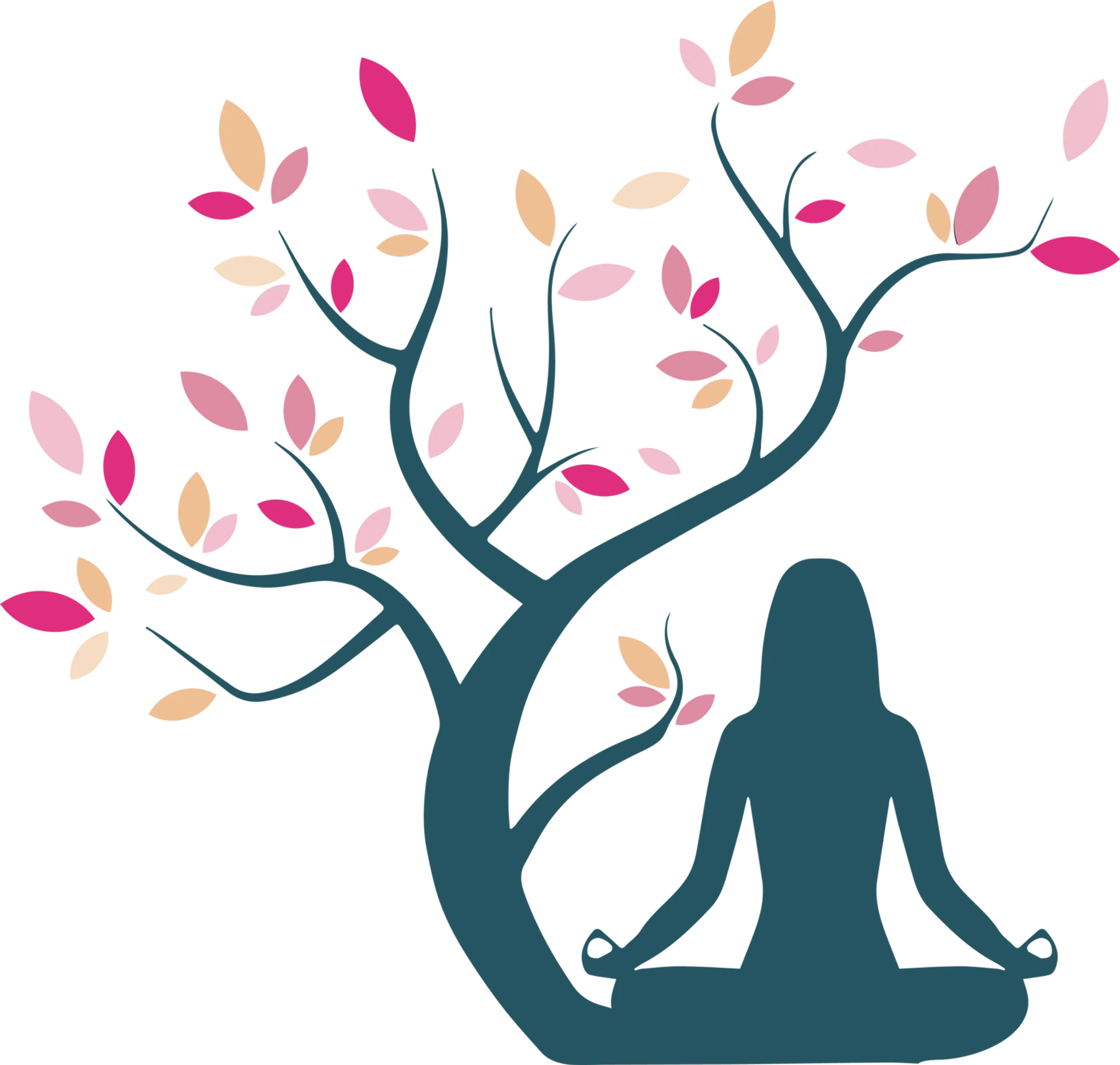 Claire Wilkinson Yoga, Meditation, Reiki & Sound Bath