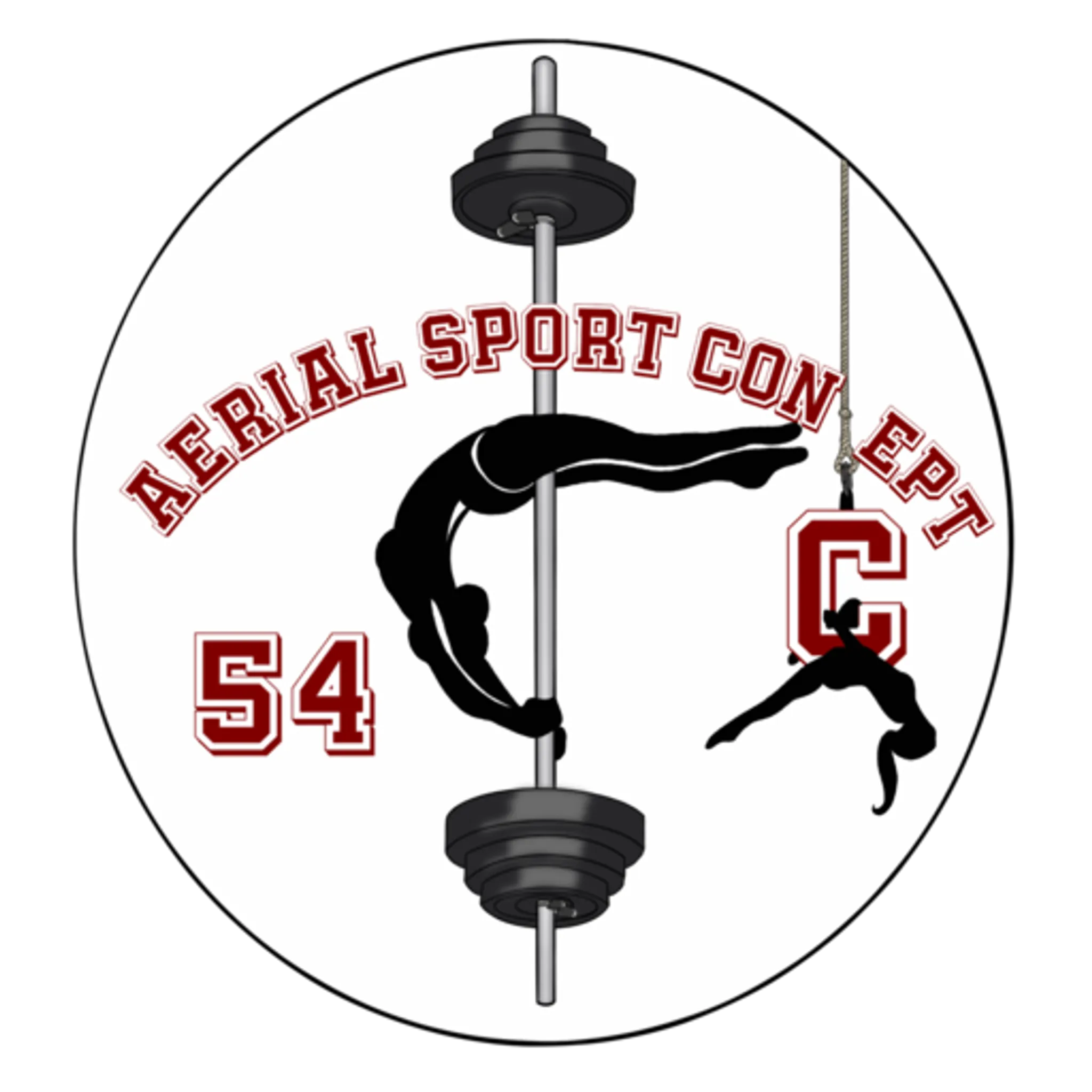 Aerial Sport Concept 54