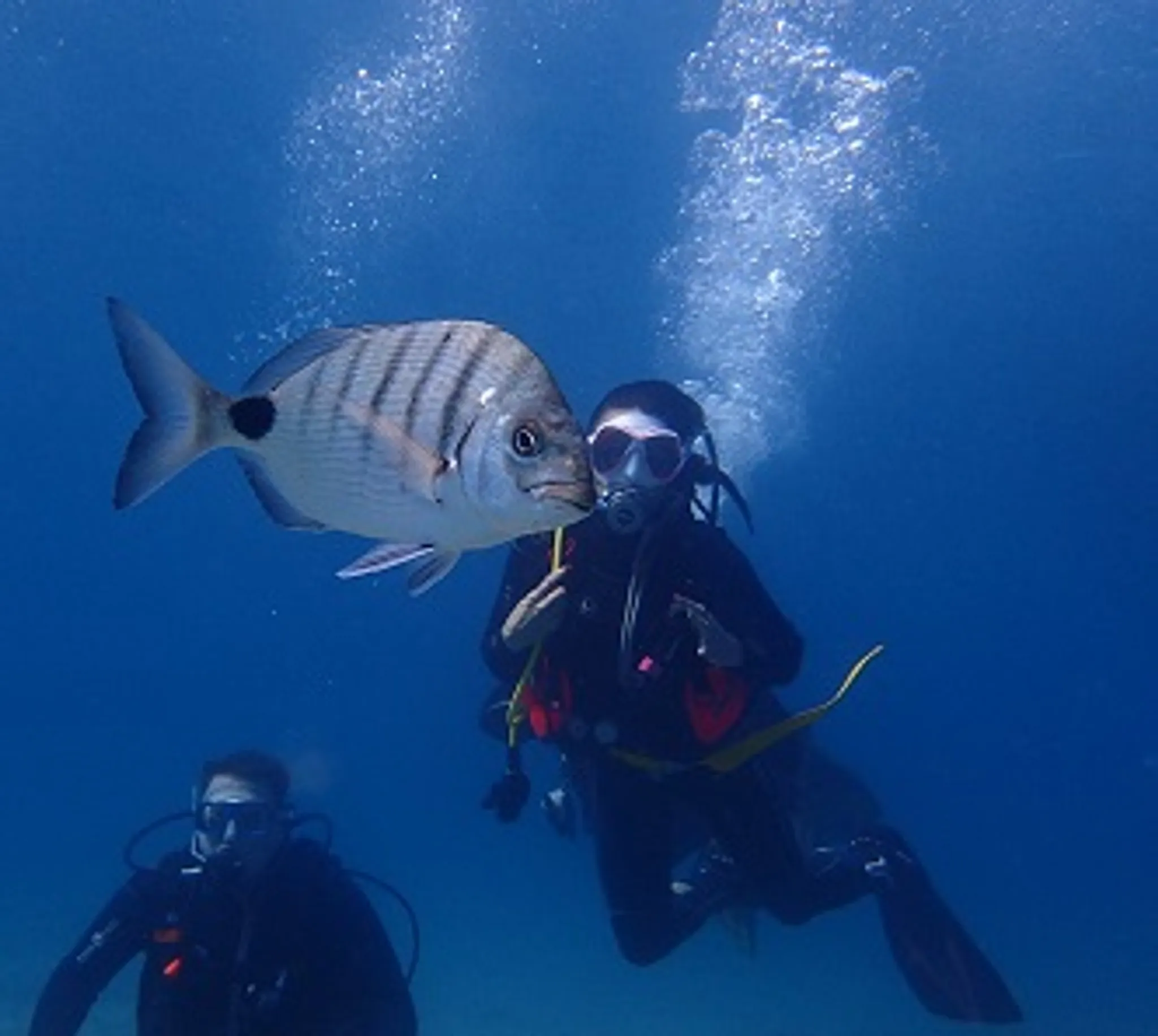 DiveClub Northern Ireland