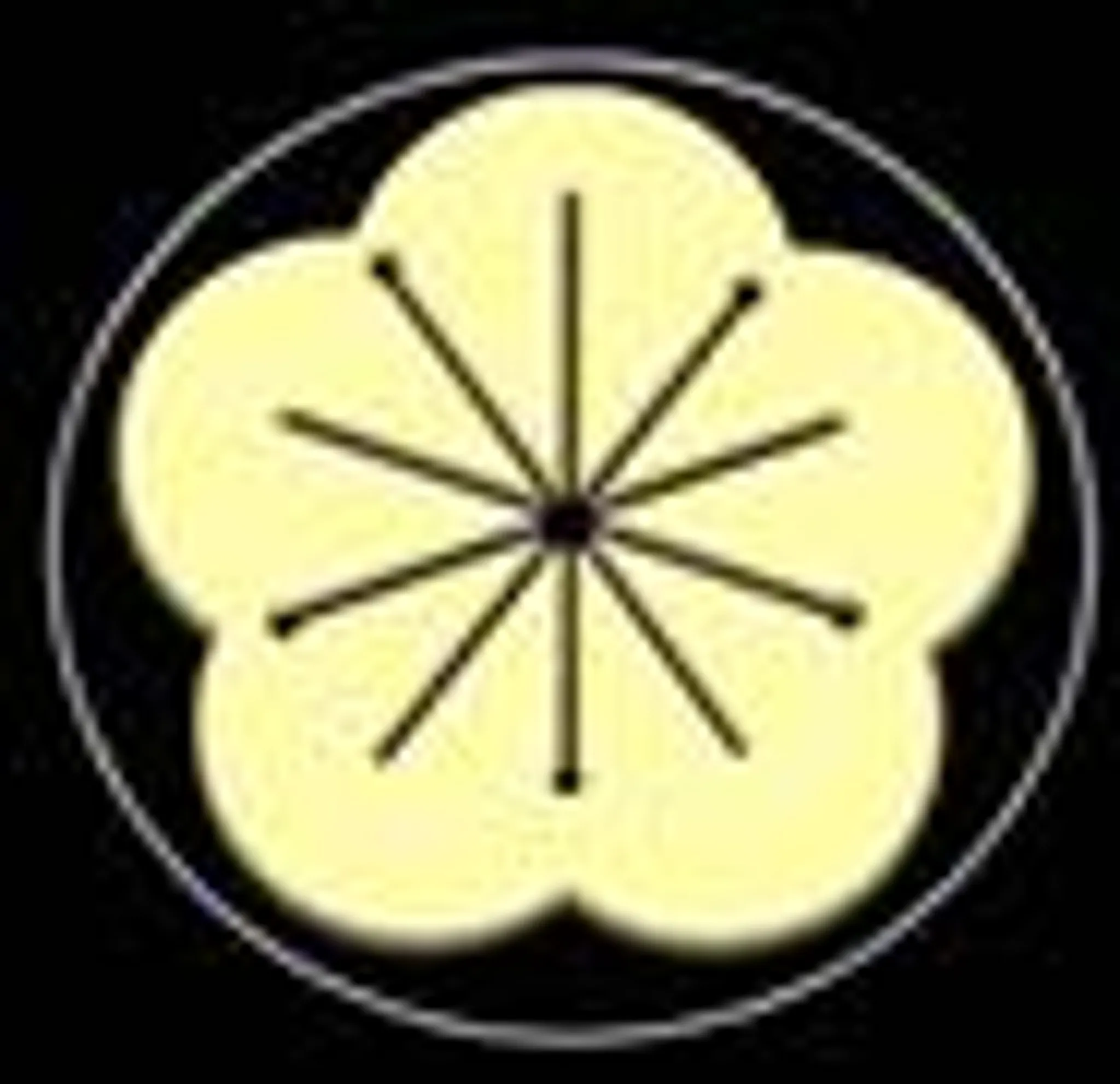 AWTA - Authentic Wing Tsun Academy (Wing Chun)