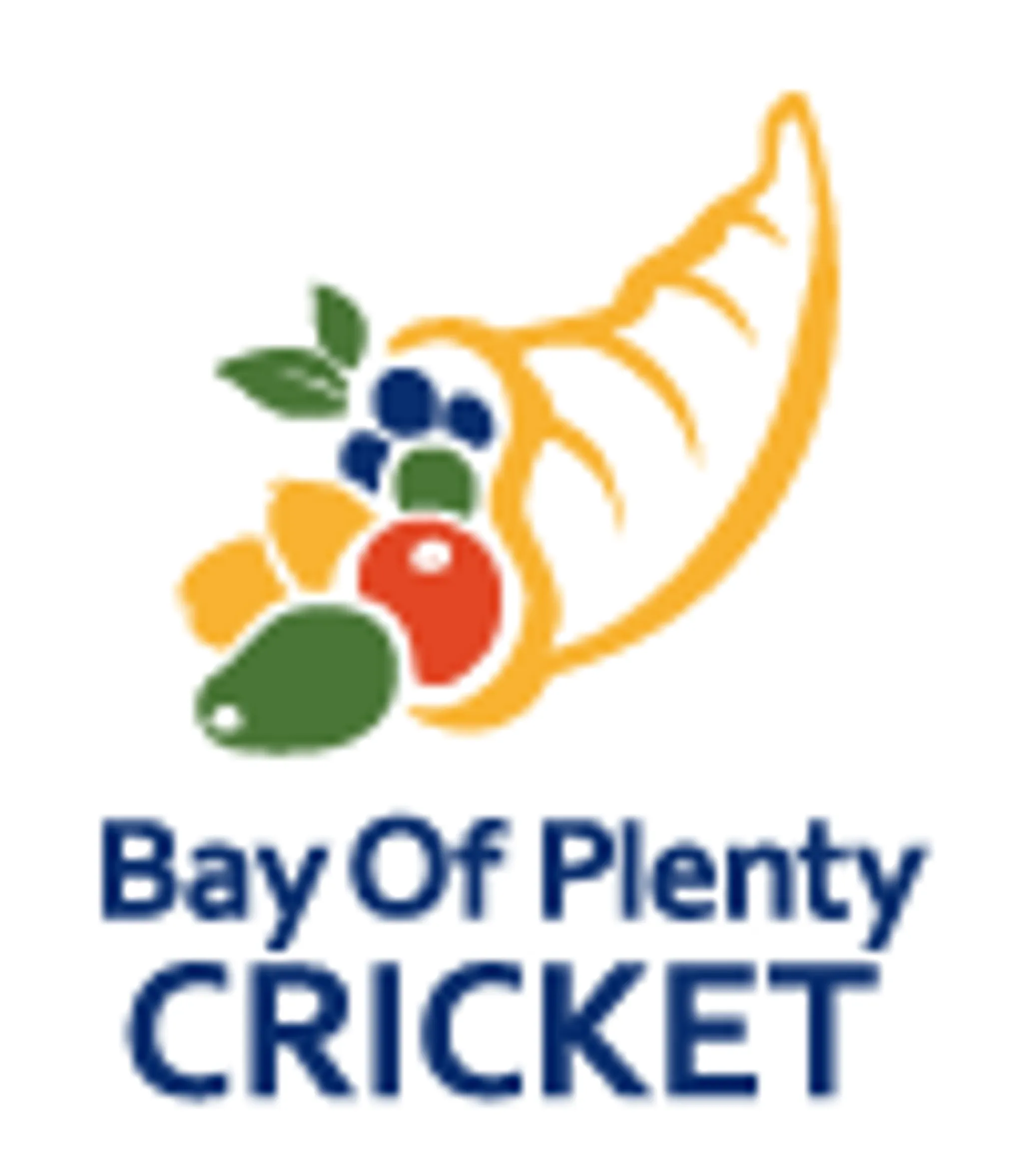 Bay of Plenty Cricket Assn Inc