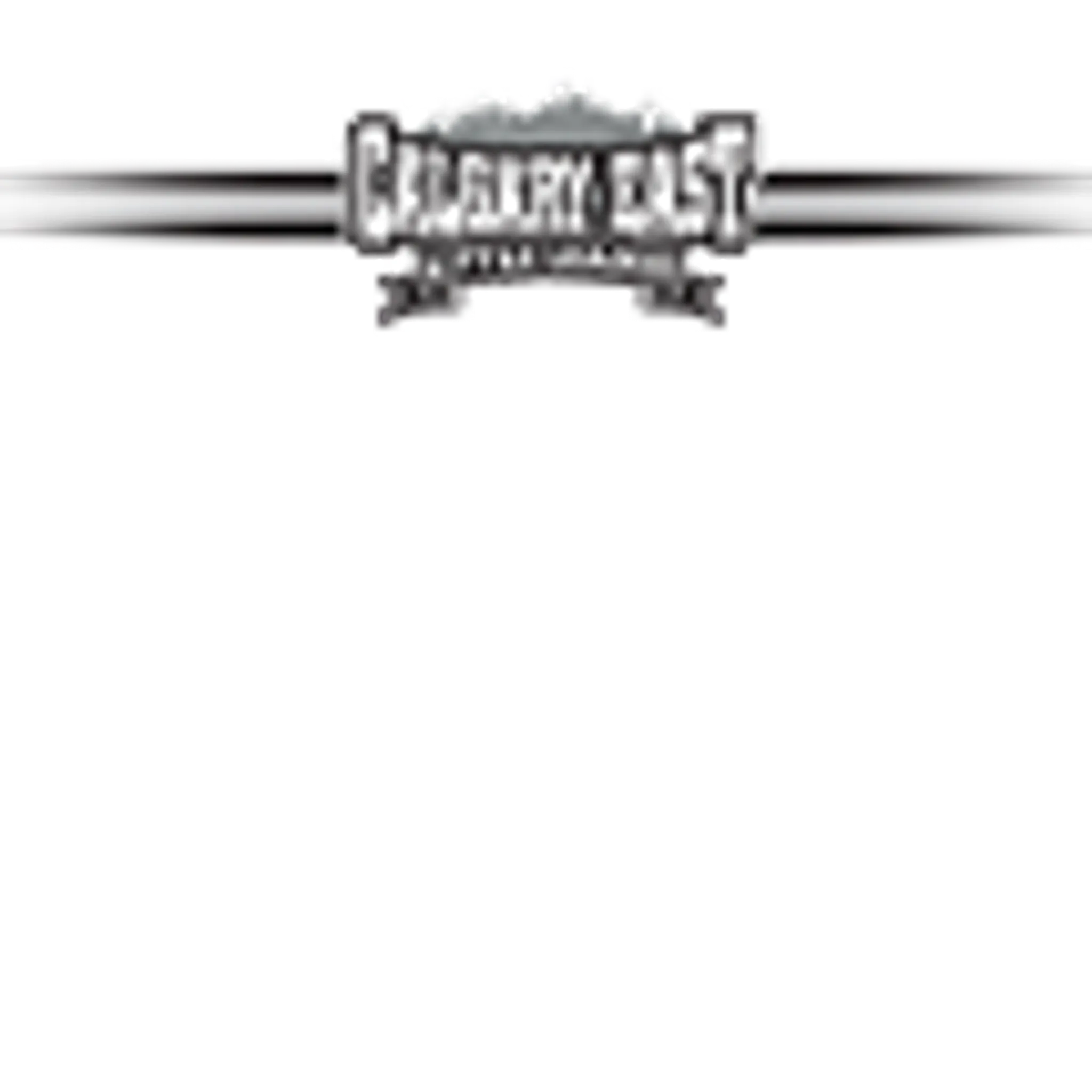 Calgary East Little League