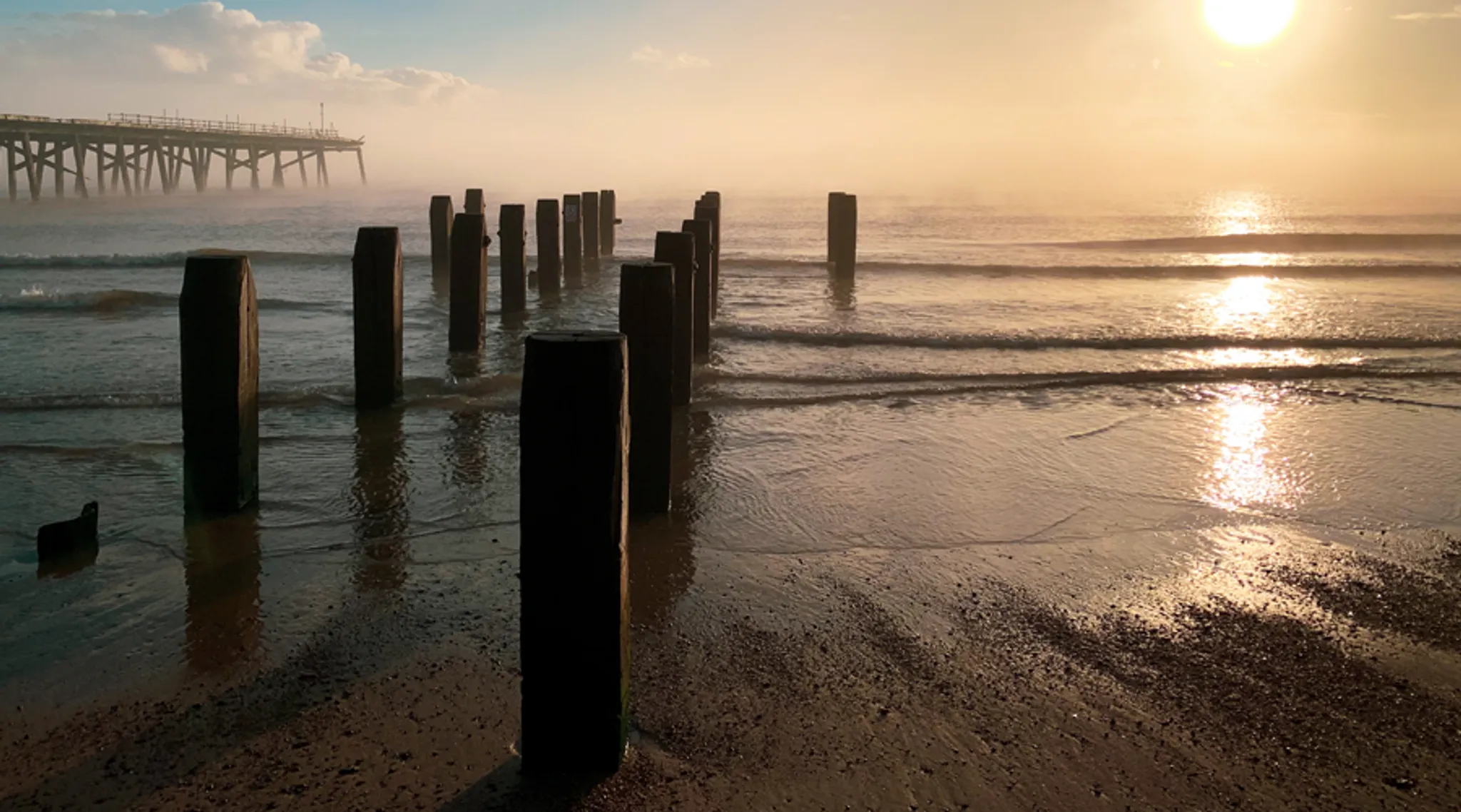 Outdoor Table Tennis Coaching Sessions