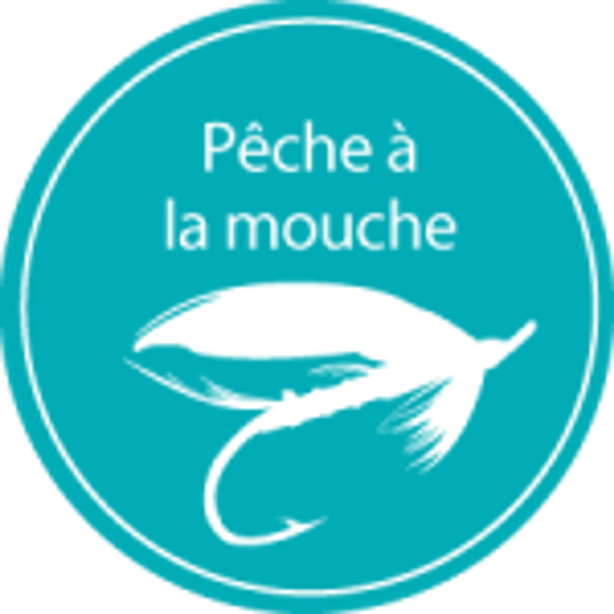 Parcours pêche à la mouche no kill de l'abbaye d'Hambye