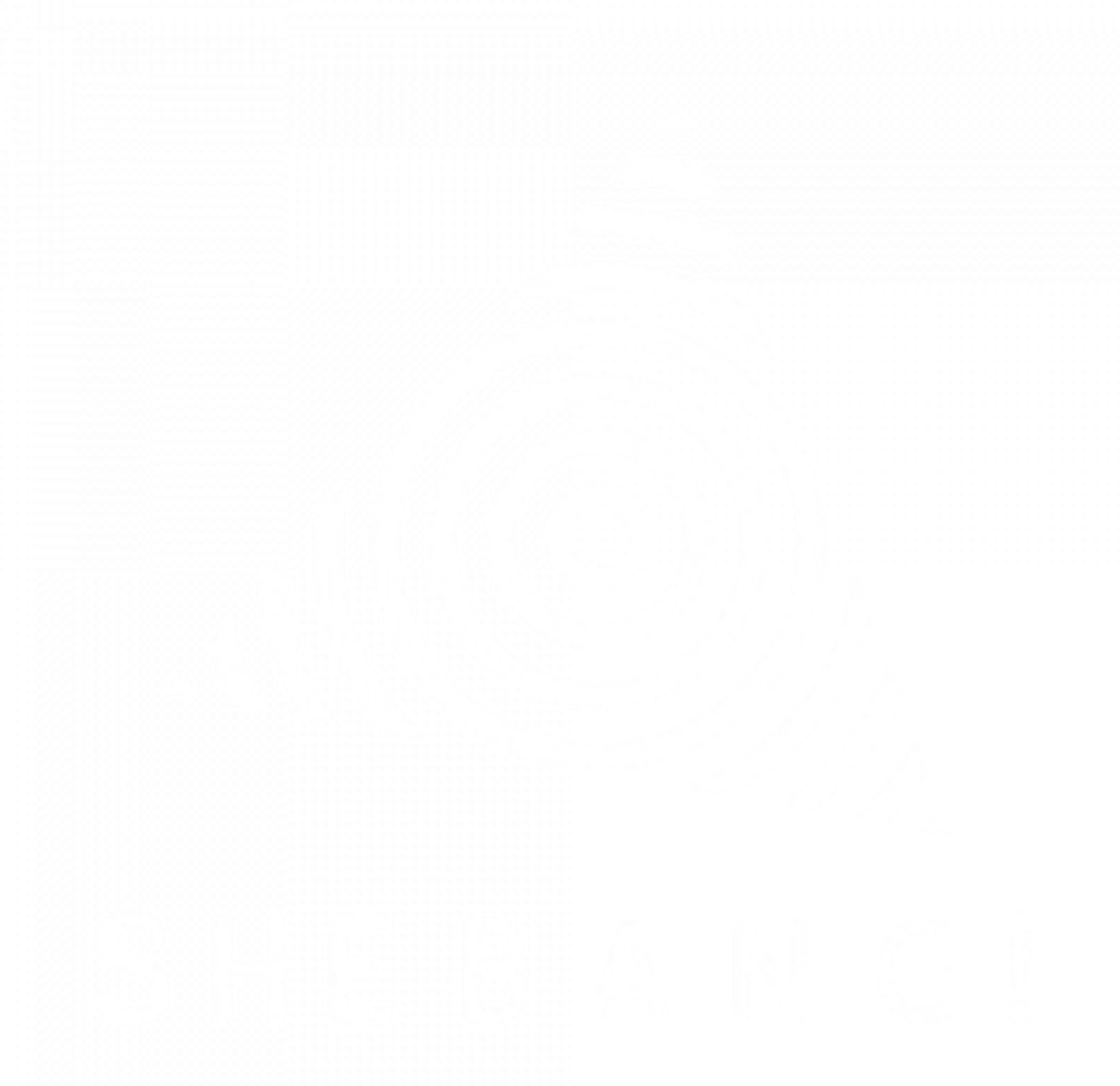 SHEBANG dance + bodymove studio