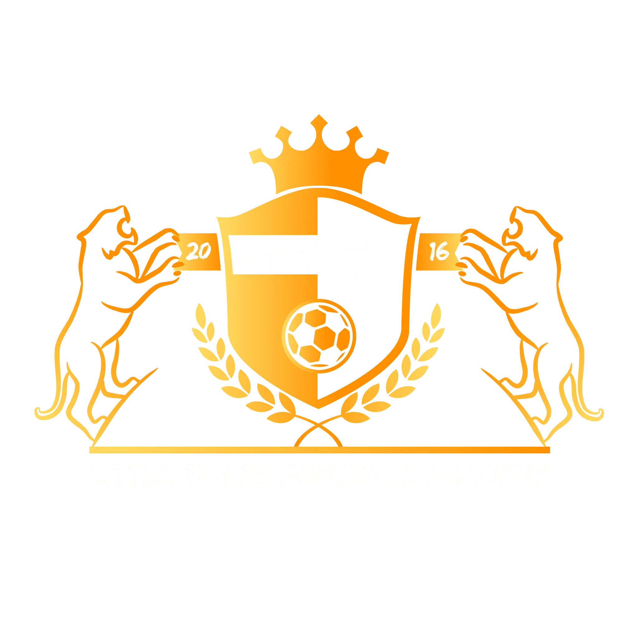 Little Tigers Football Academy (LTFA)