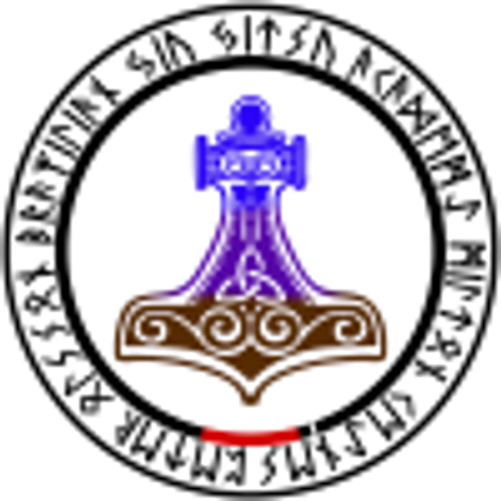 Viking Brazilian Jiu Jitsu