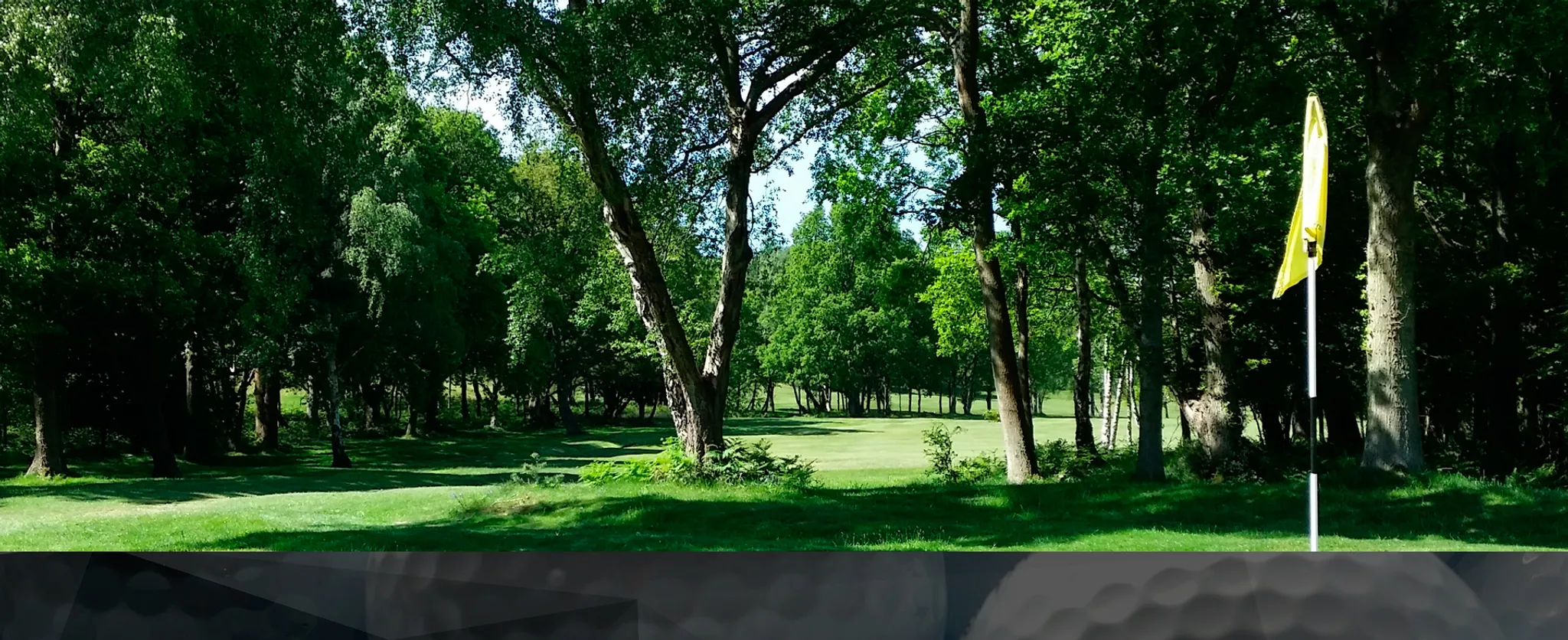 Club de golf St-François Events