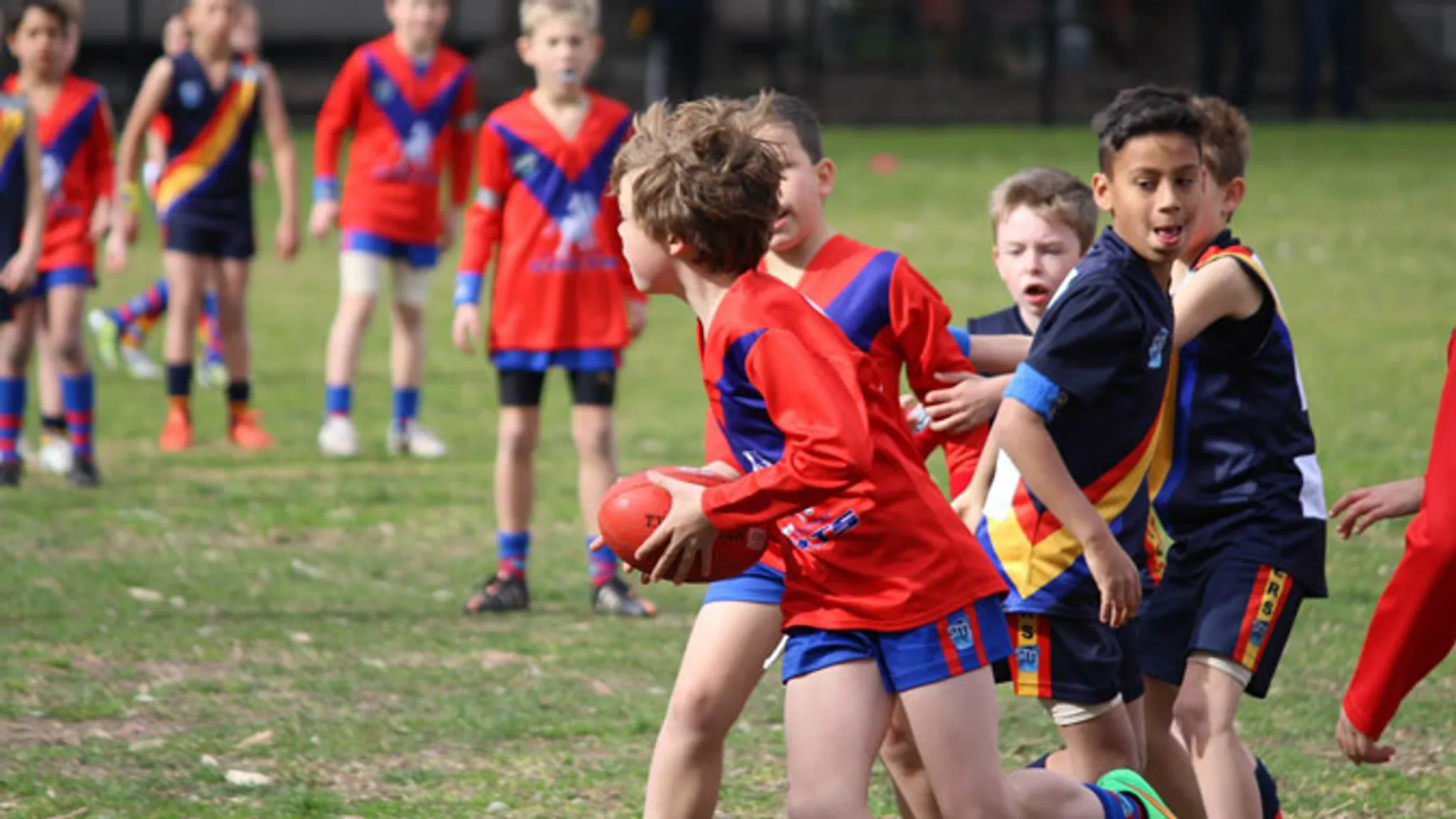 Port Melbourne Colts Junior Football Club season 2024