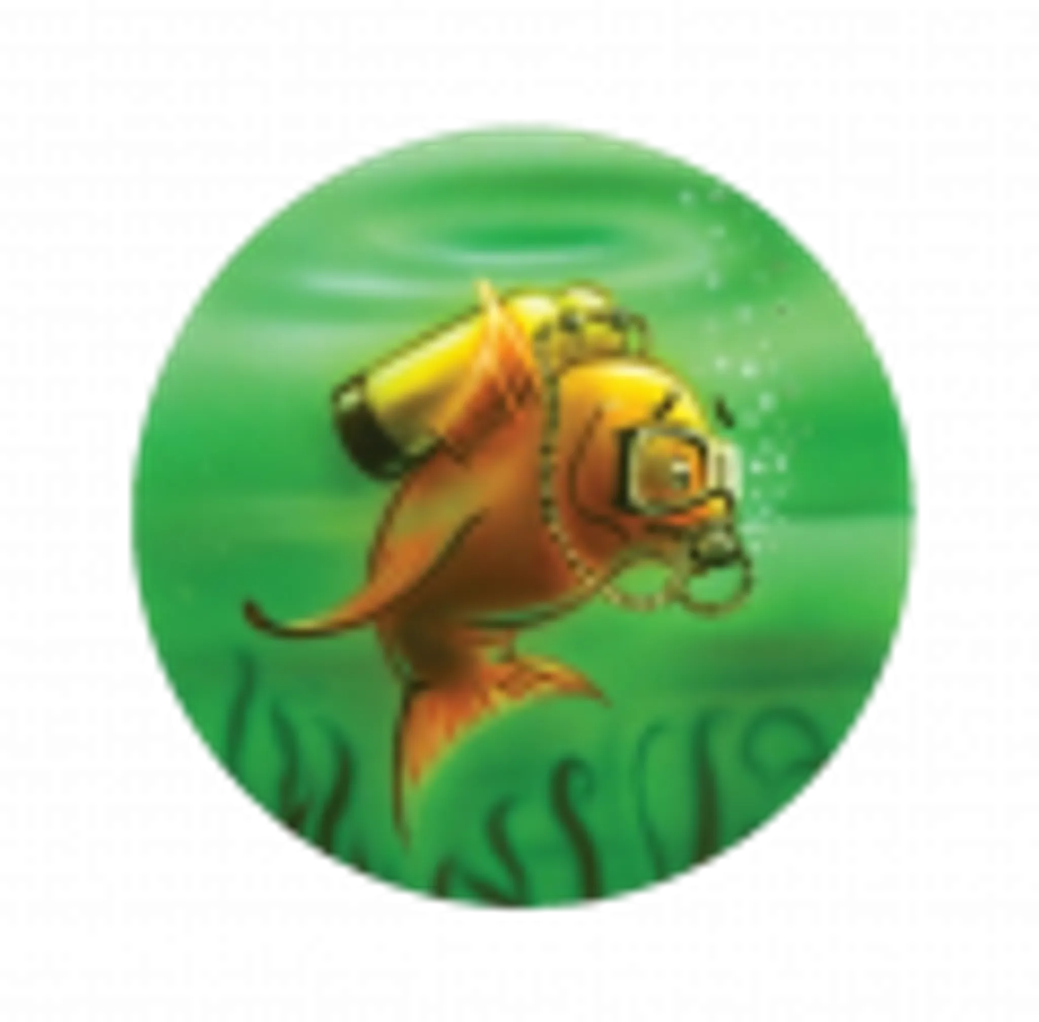 Club Aquatique International de Doussard (CAID)