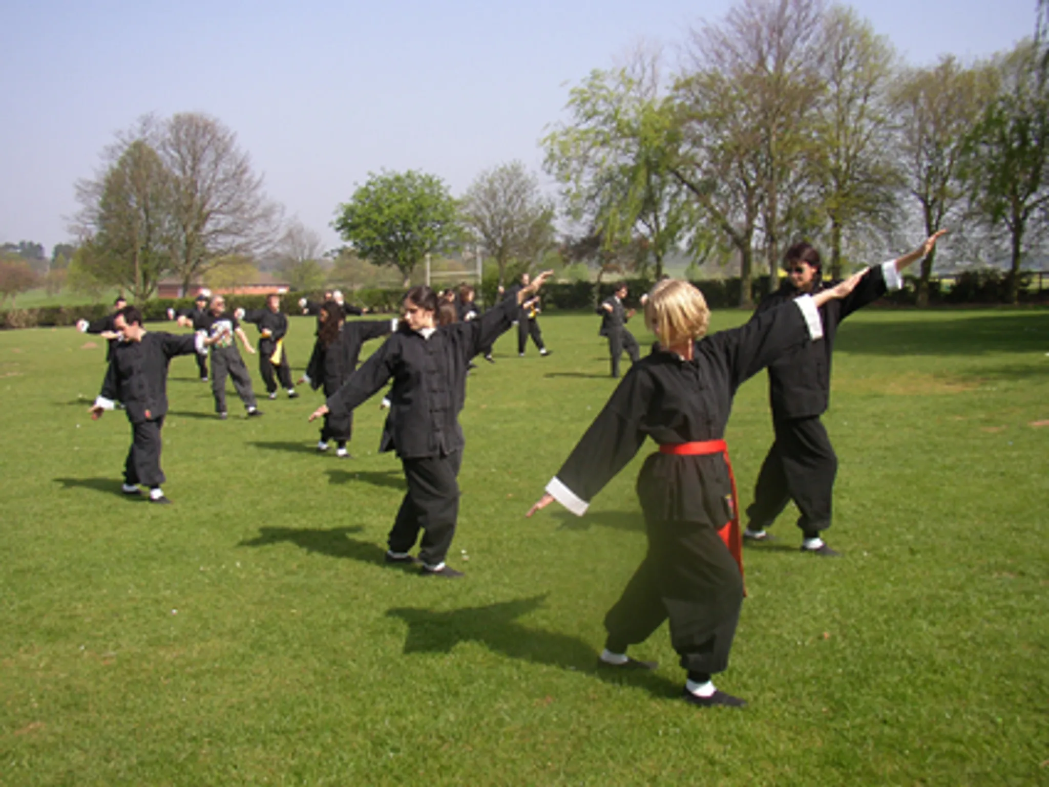 T'ai Chi (Lee Style) Classes