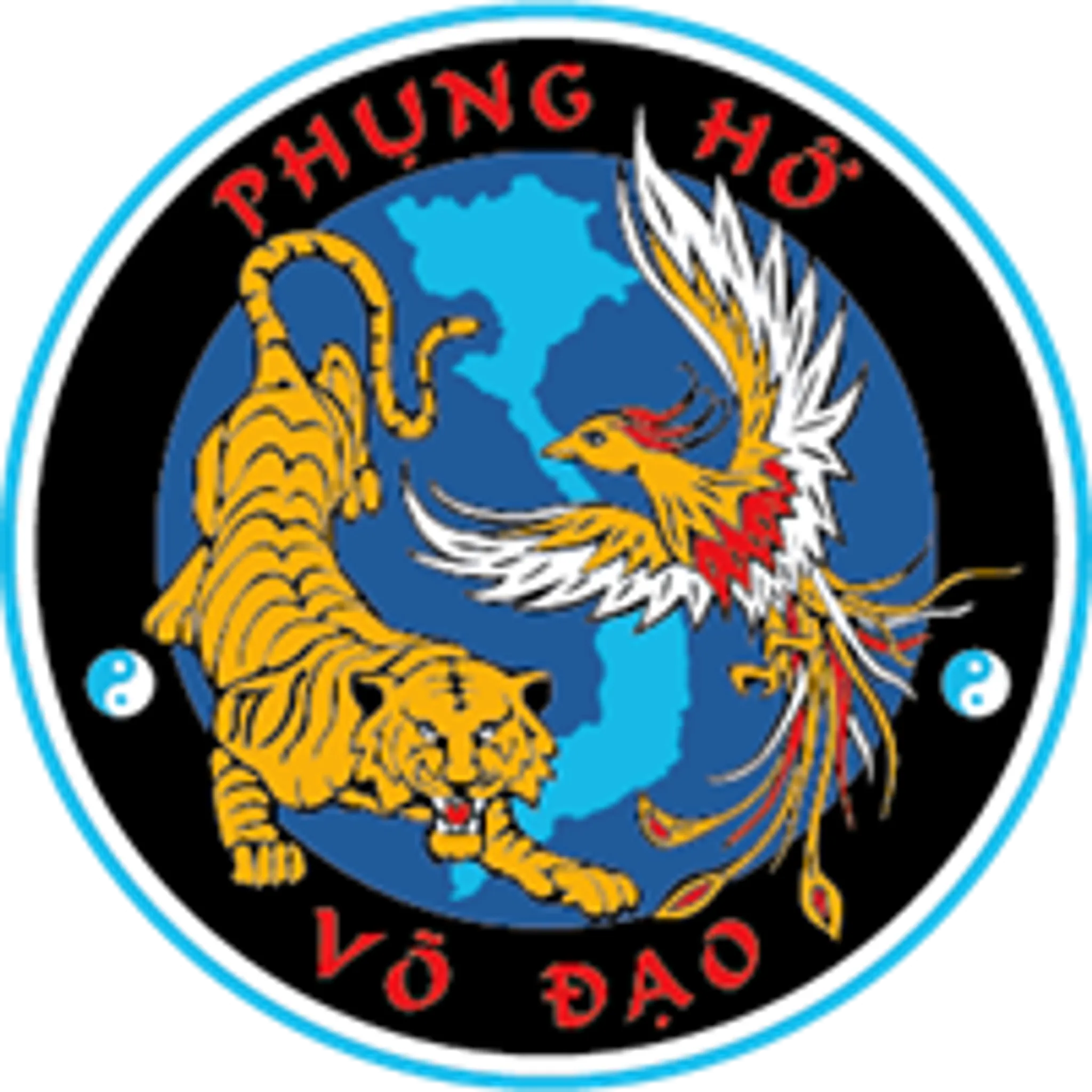 Phung Ho Vo Dao
