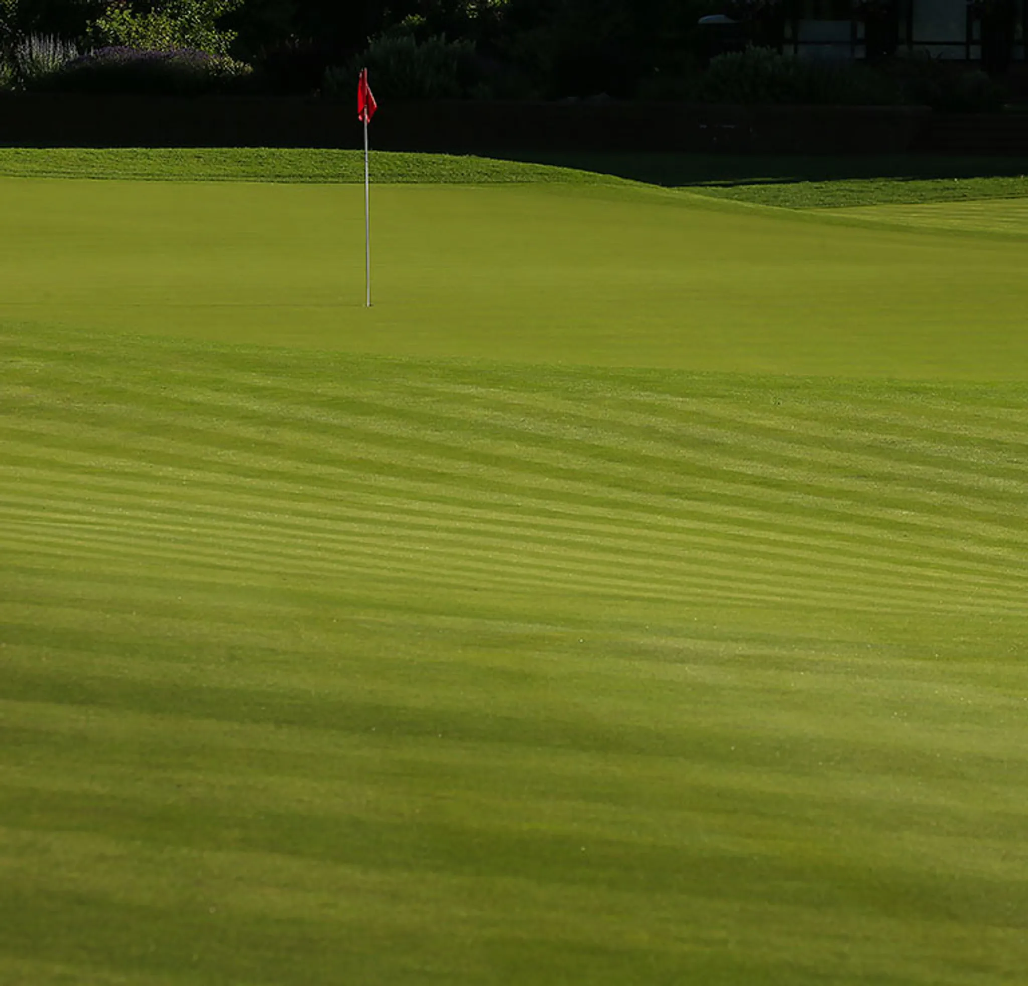 The Wisley Golf Club