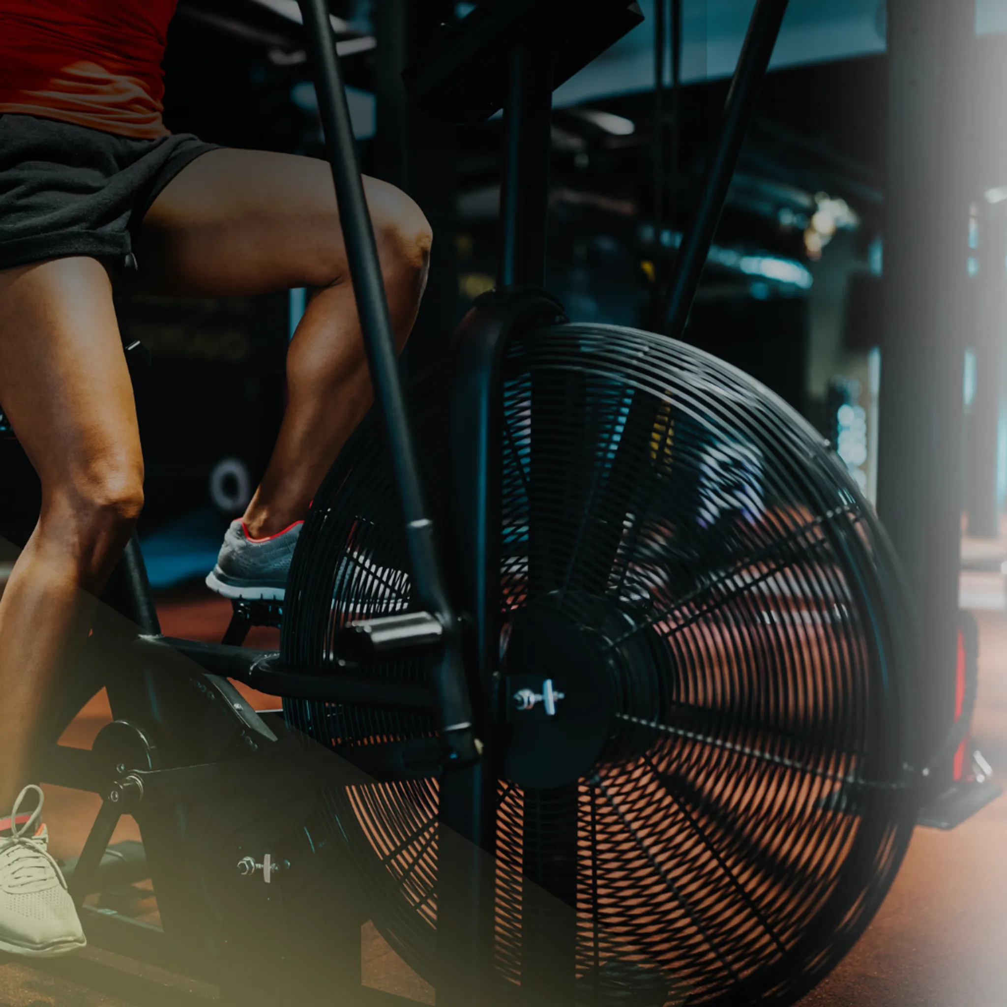 6 Week Starter Programme