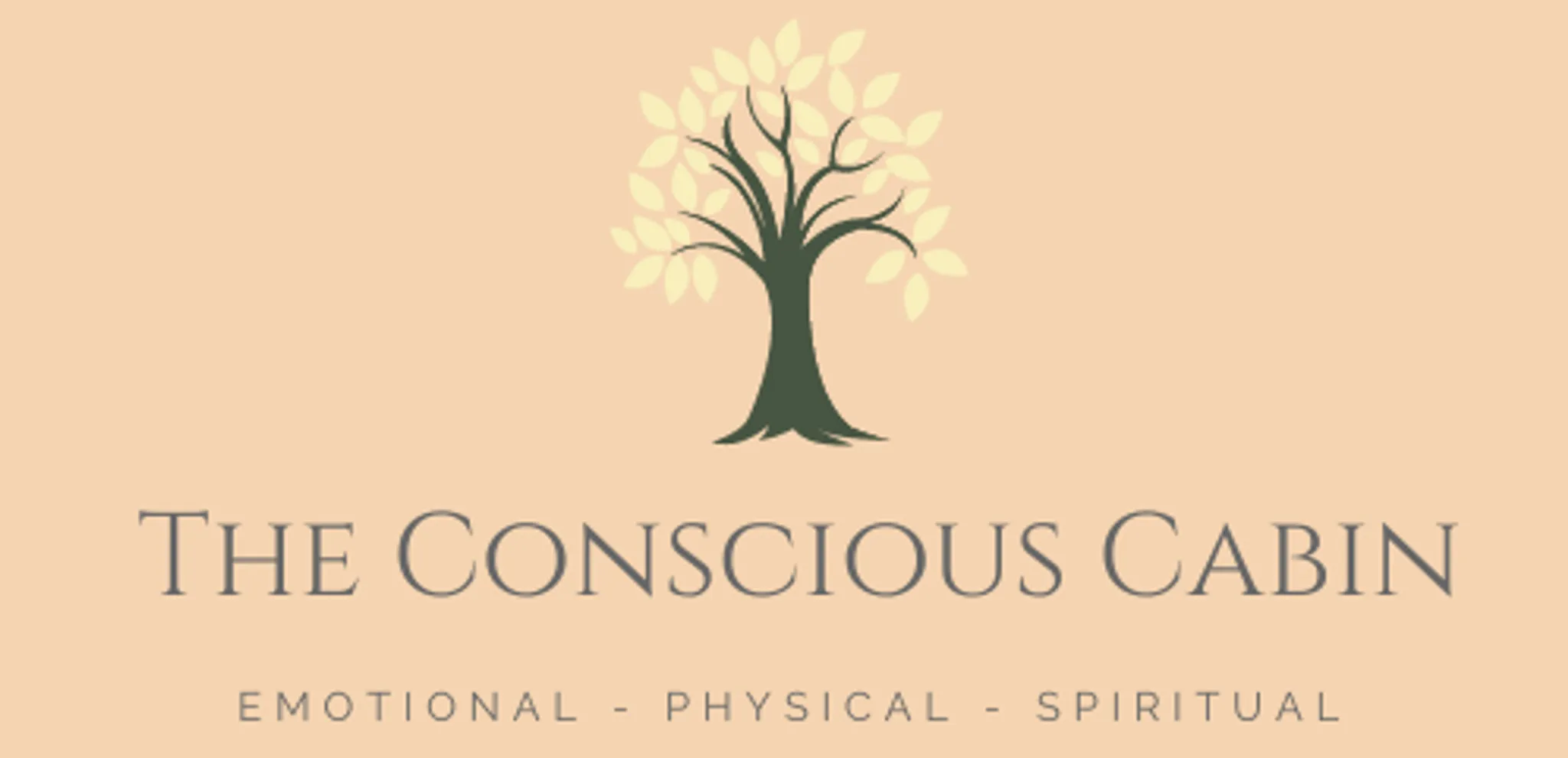 The Conscious Cabin