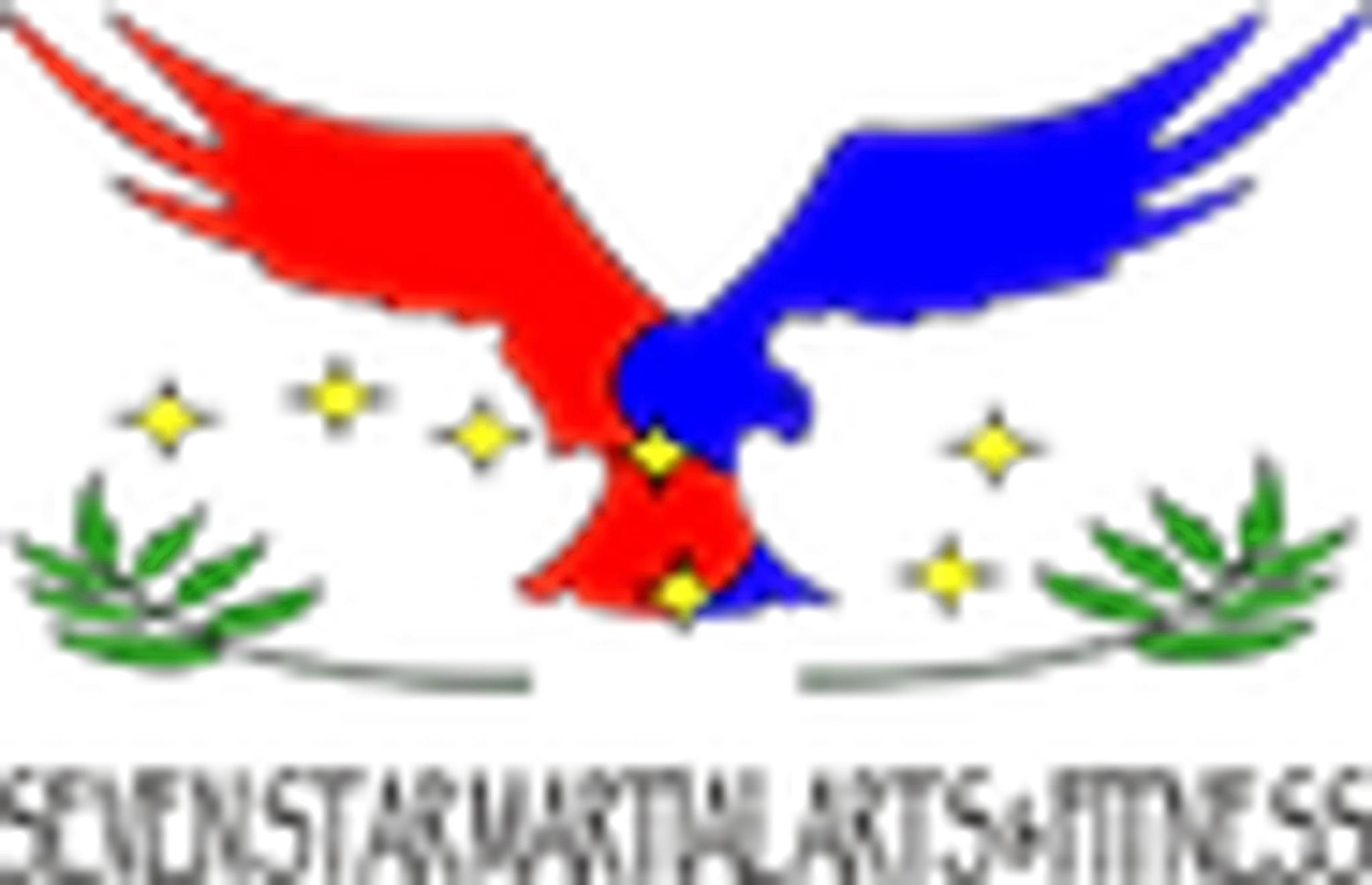 Neath Valley Tang Soo Do, Traditional Family Oriented Karate