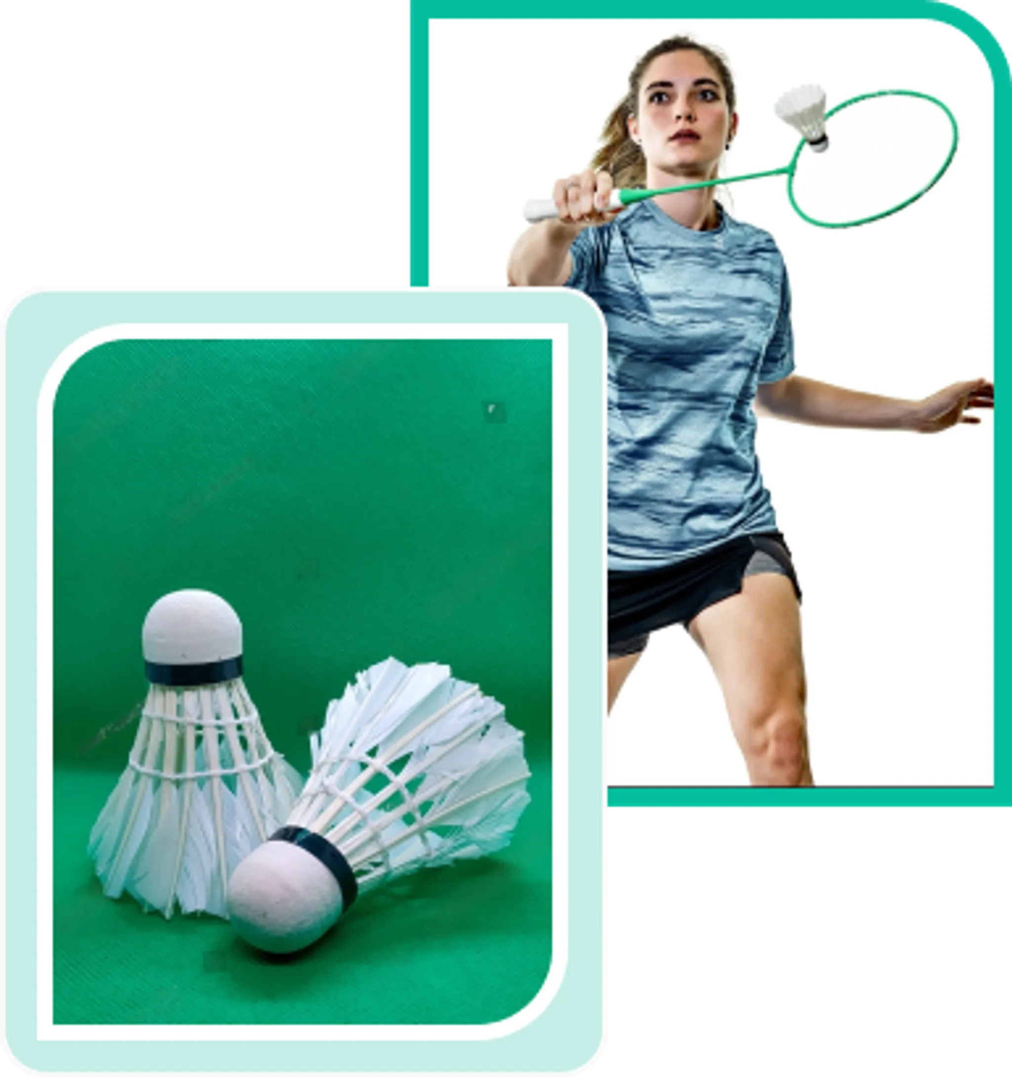 Celestials Badminton Academy