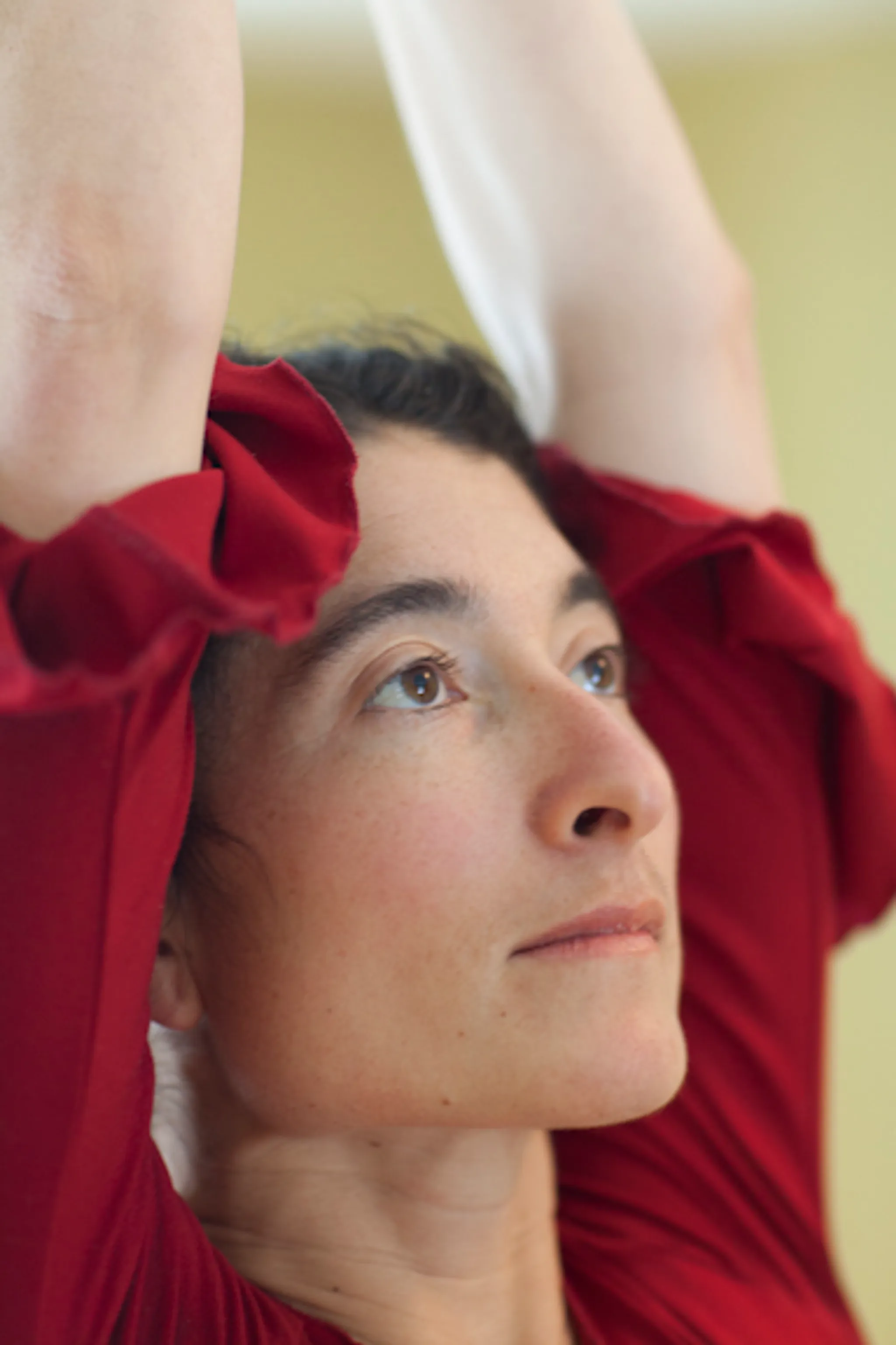 Retraite de yoga Iyengar - De la Terre au Ciel