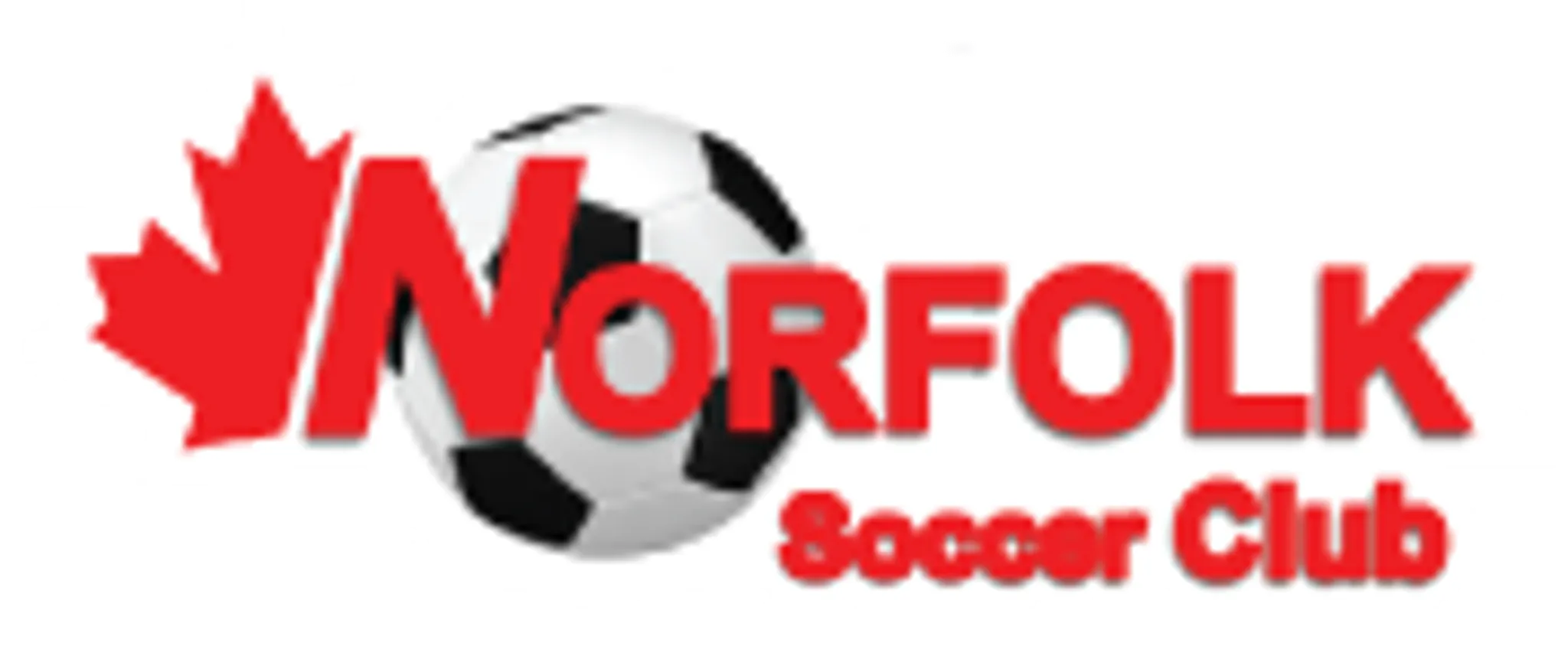 Norfolk (Delhi) Soccer Club Hall