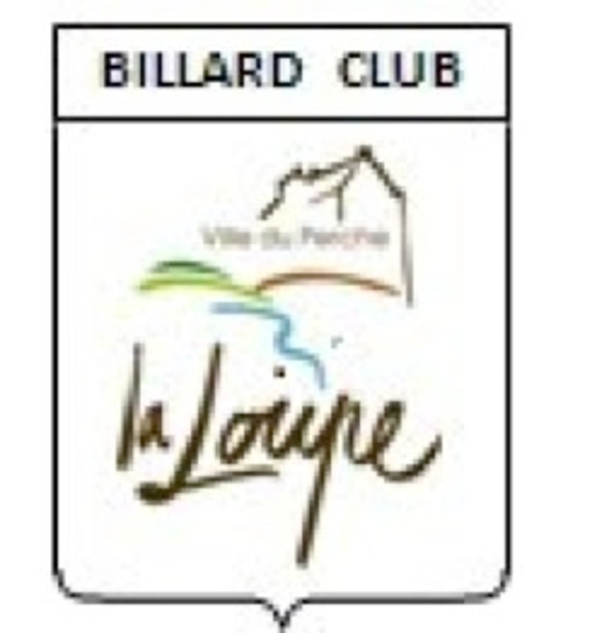 COMITÉ DÉPARTEMENTAL DE BILLARD D'EURE & LOIR