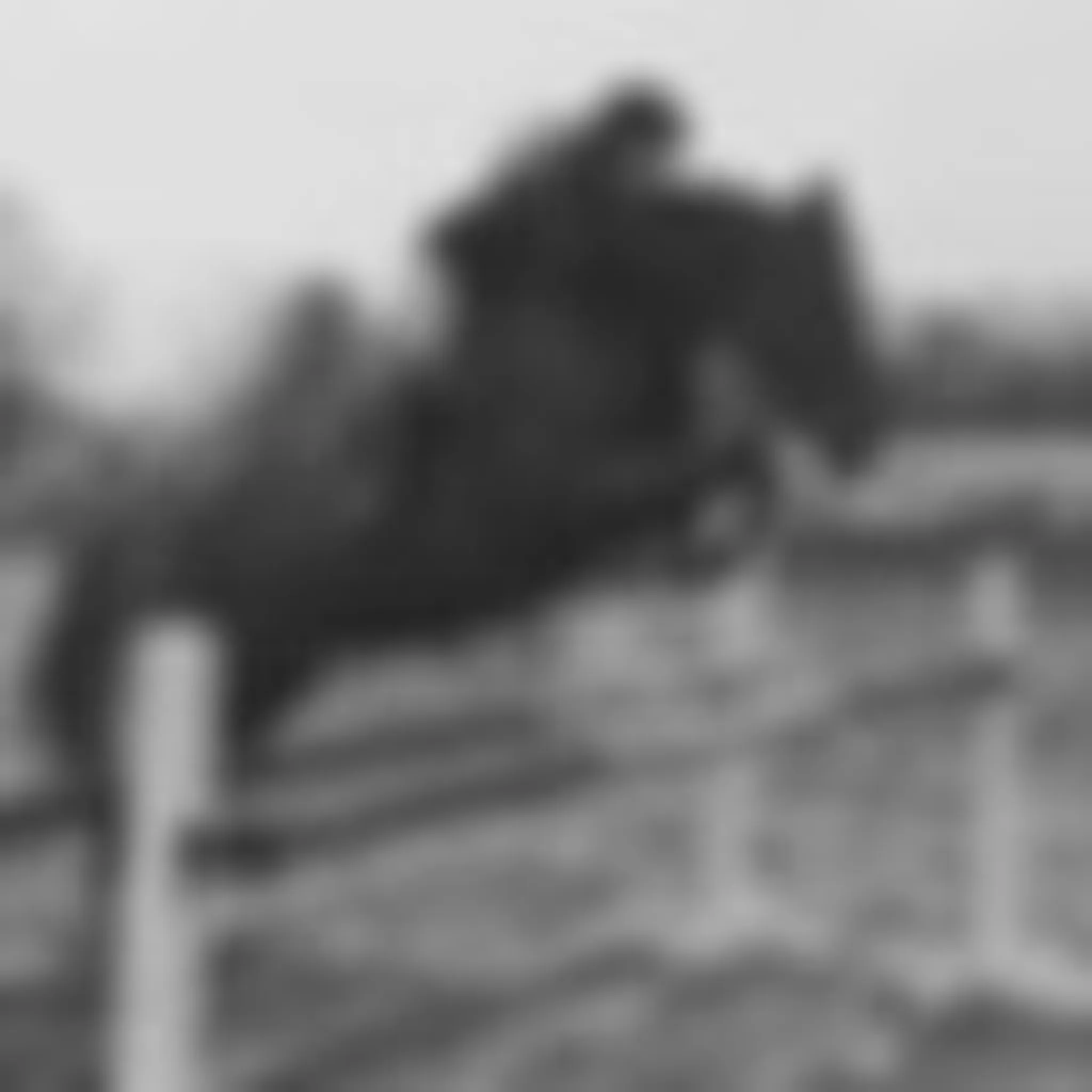 Centre questre Tezanos